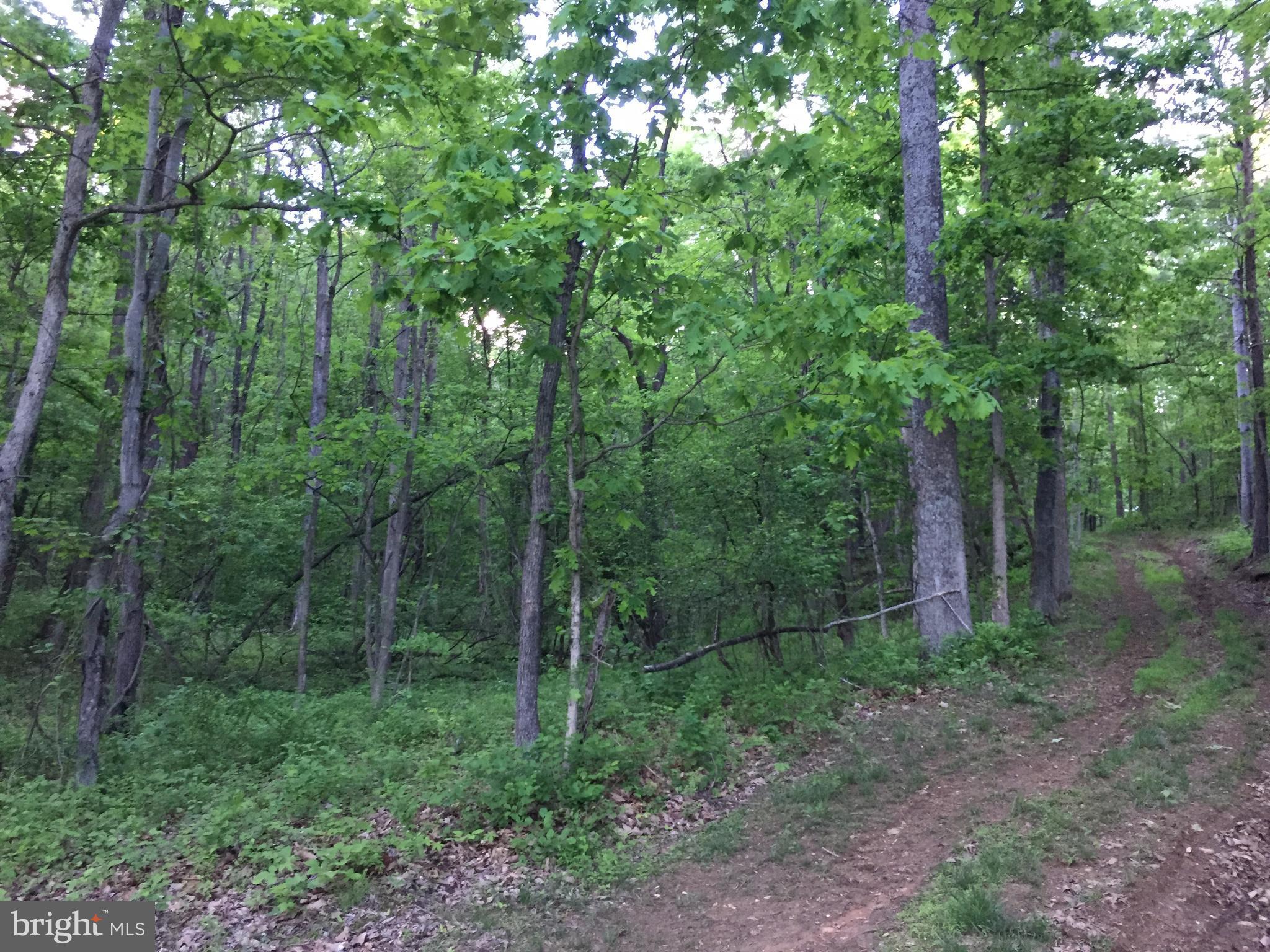 0 Old Bust Head Road Broad Run, VA 20137 - Photo 11 of 29 View