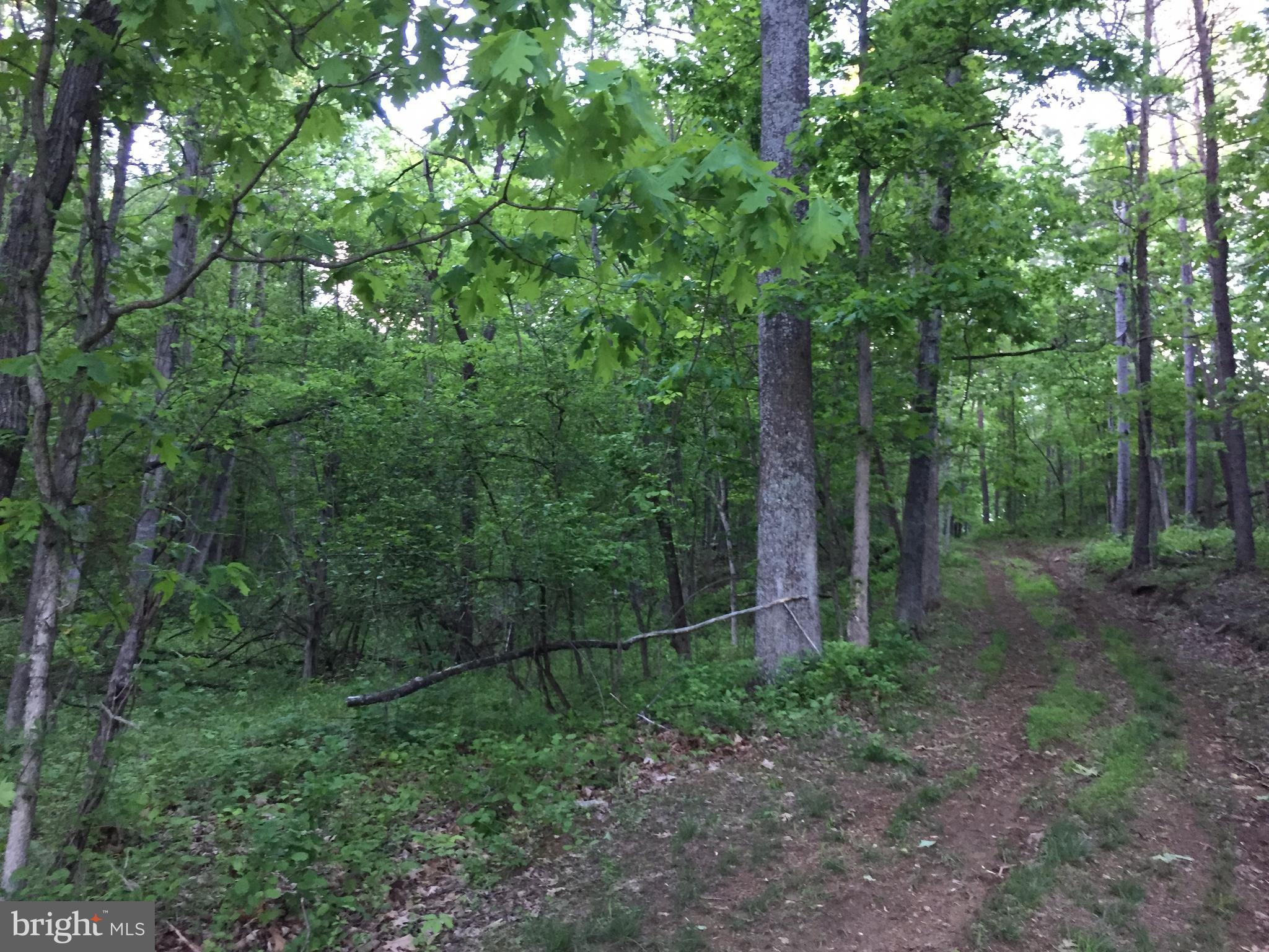 0 Old Bust Head Road Broad Run, VA 20137 - Photo 12 of 29 View
