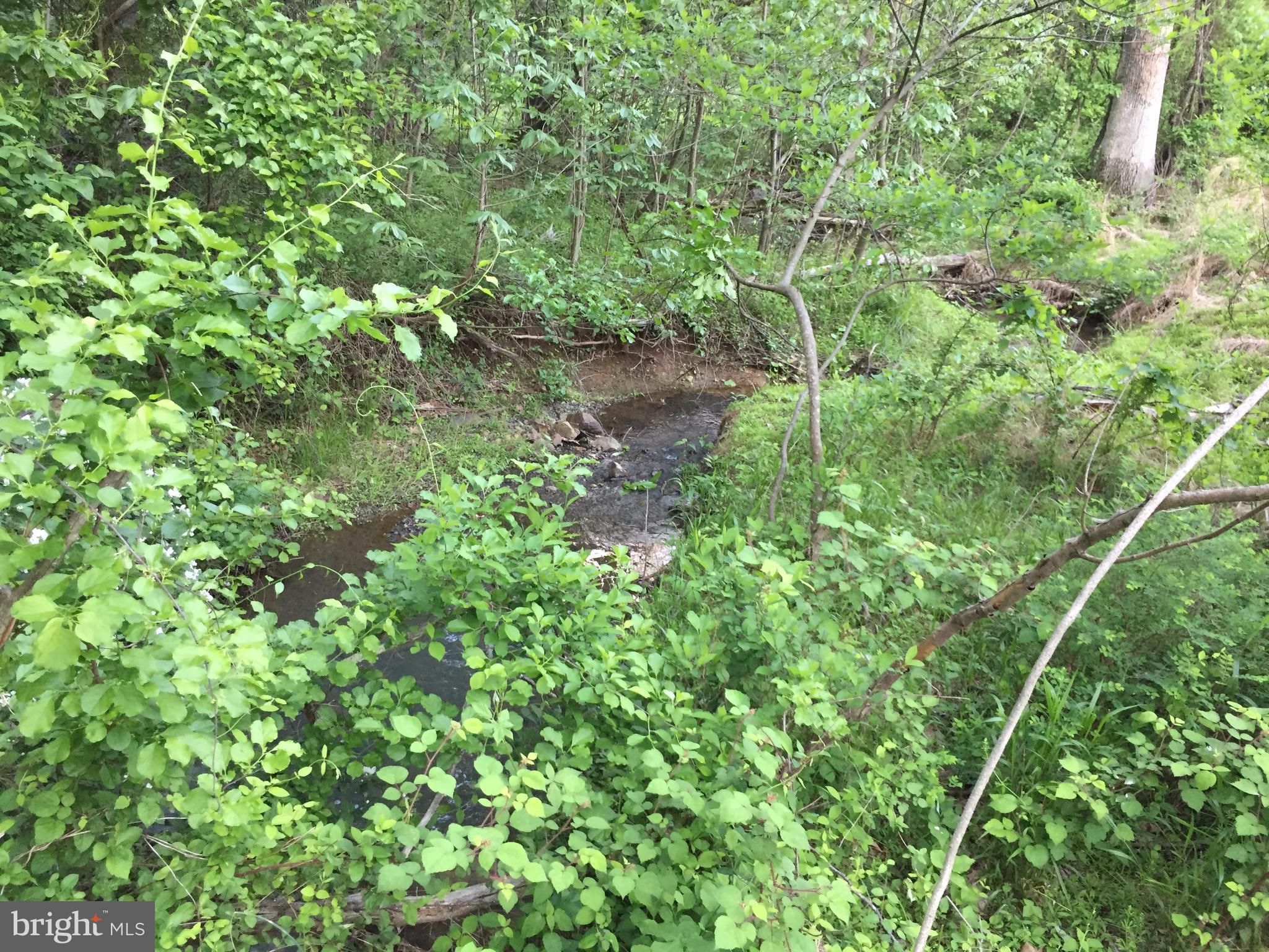0 Old Bust Head Road Broad Run, VA 20137 - Photo 15 of 29 View