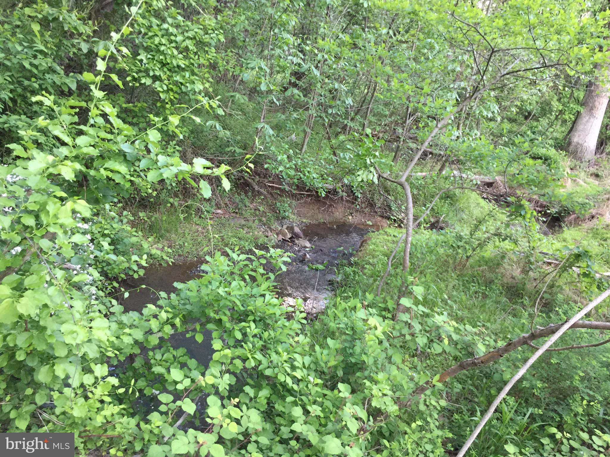 0 Old Bust Head Road Broad Run, VA 20137 - Photo 16 of 29 View