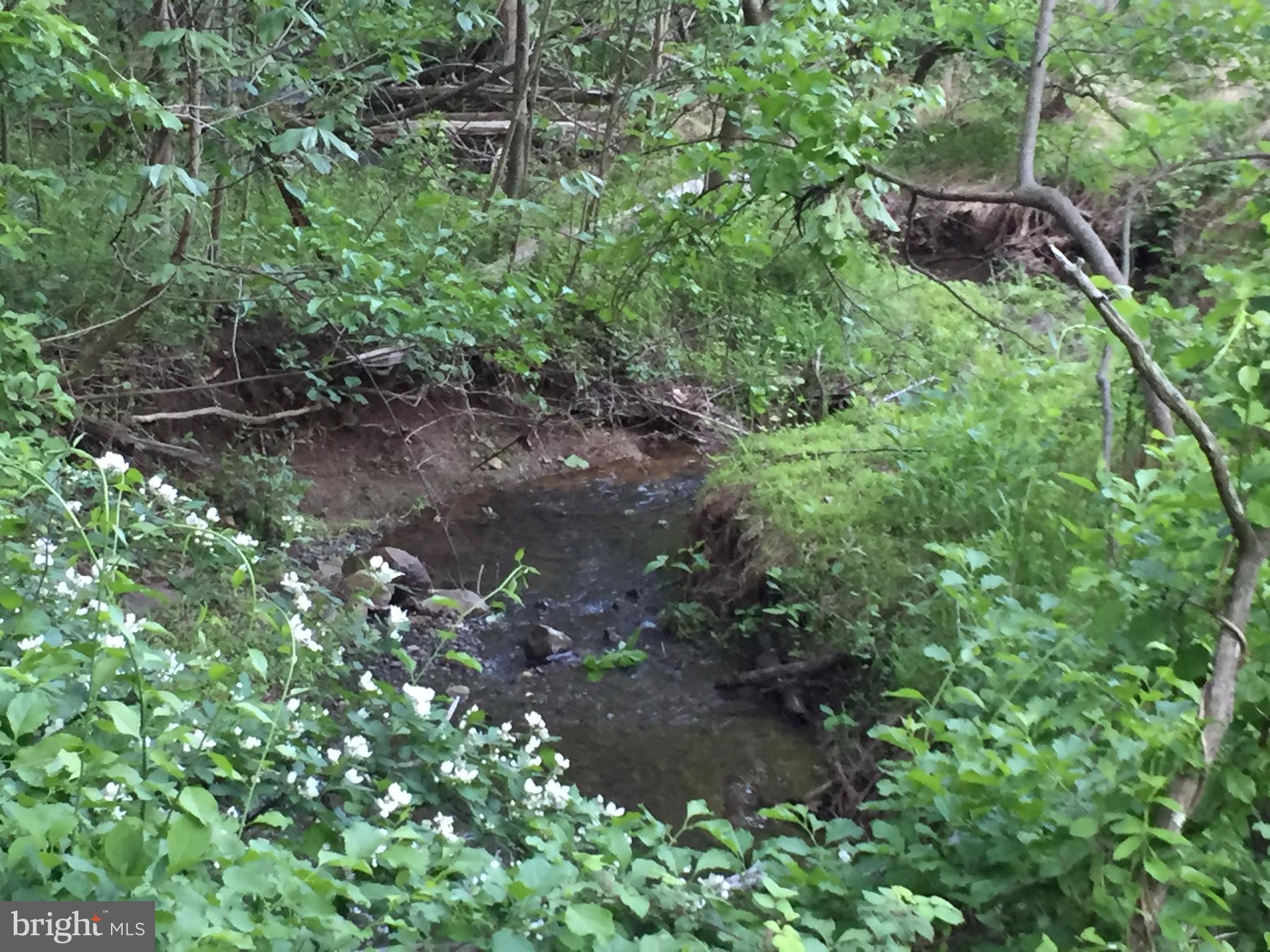 0 Old Bust Head Road Broad Run, VA 20137 - Photo 18 of 29 View