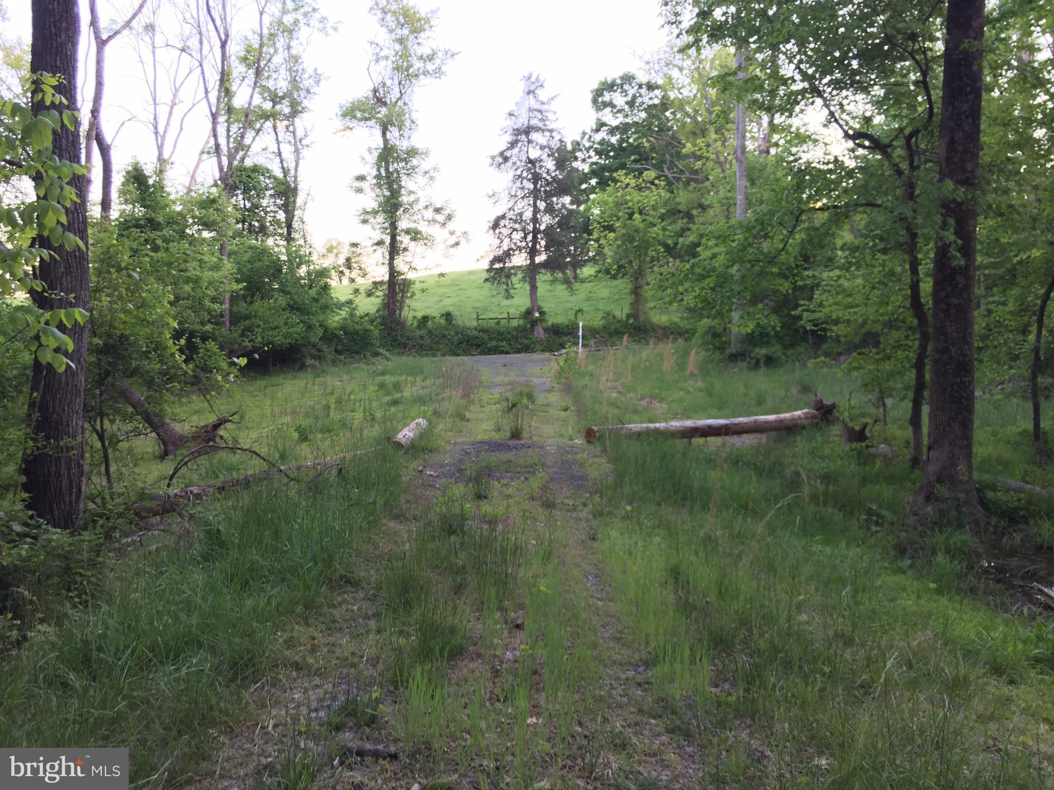 0 Old Bust Head Road Broad Run, VA 20137 - Photo 19 of 29 View