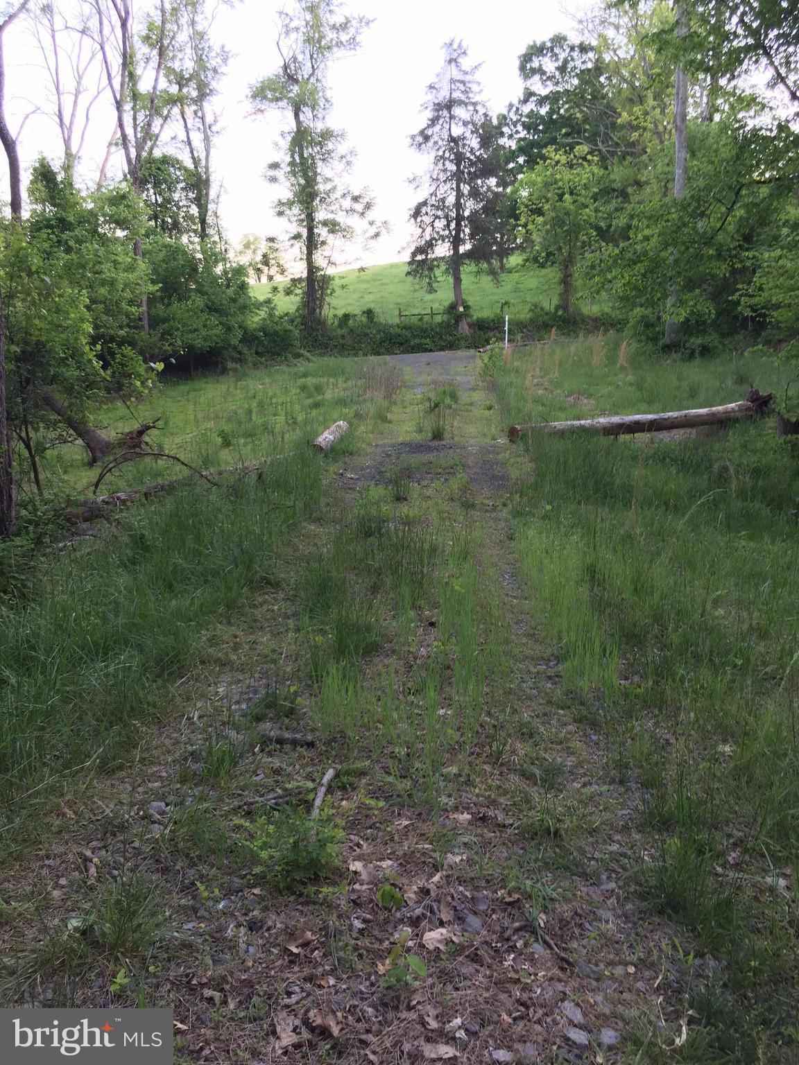 0 Old Bust Head Road Broad Run, VA 20137 - Photo 20 of 29 View