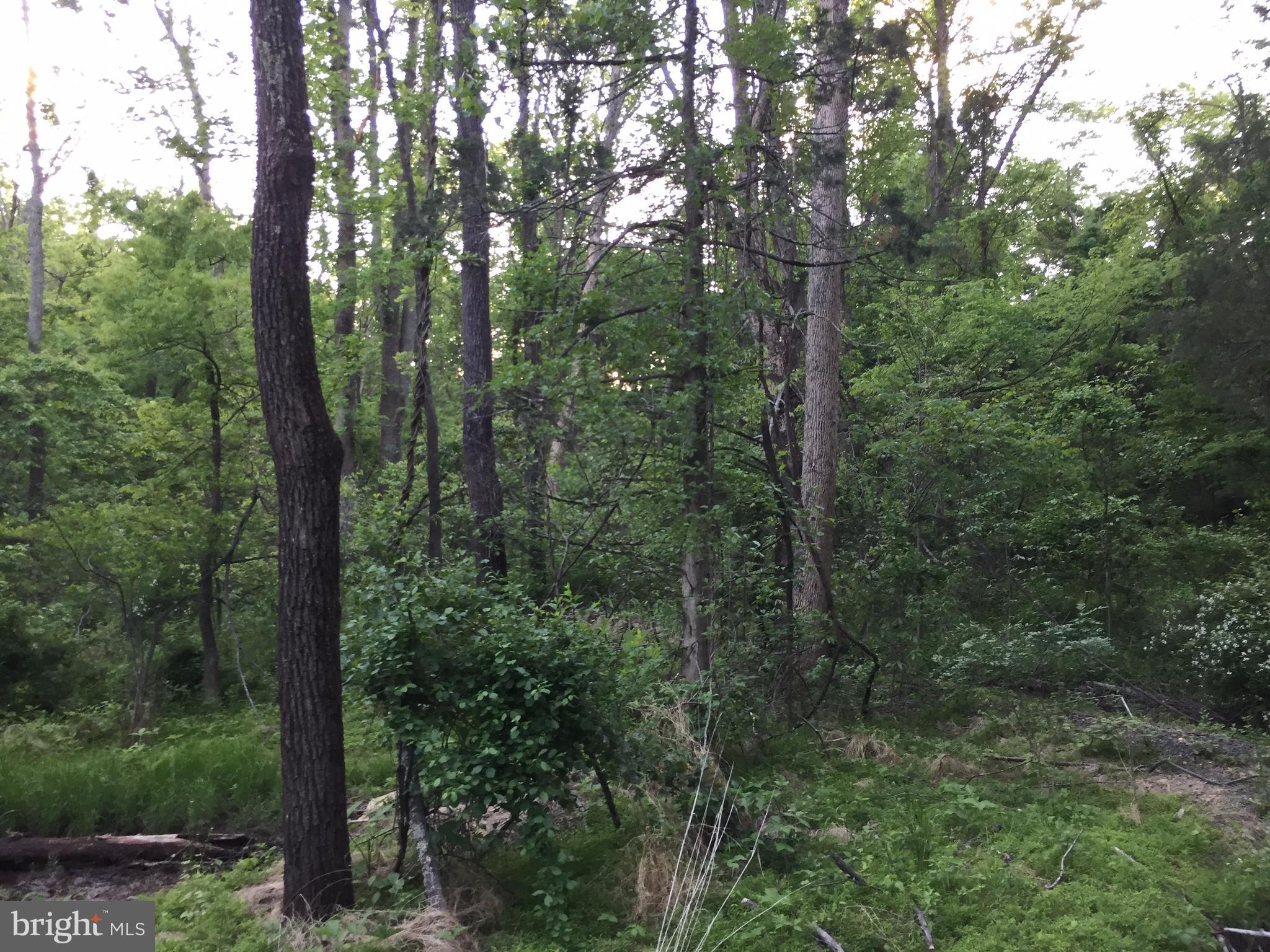 0 Old Bust Head Road Broad Run, VA 20137 - Photo 21 of 29 View