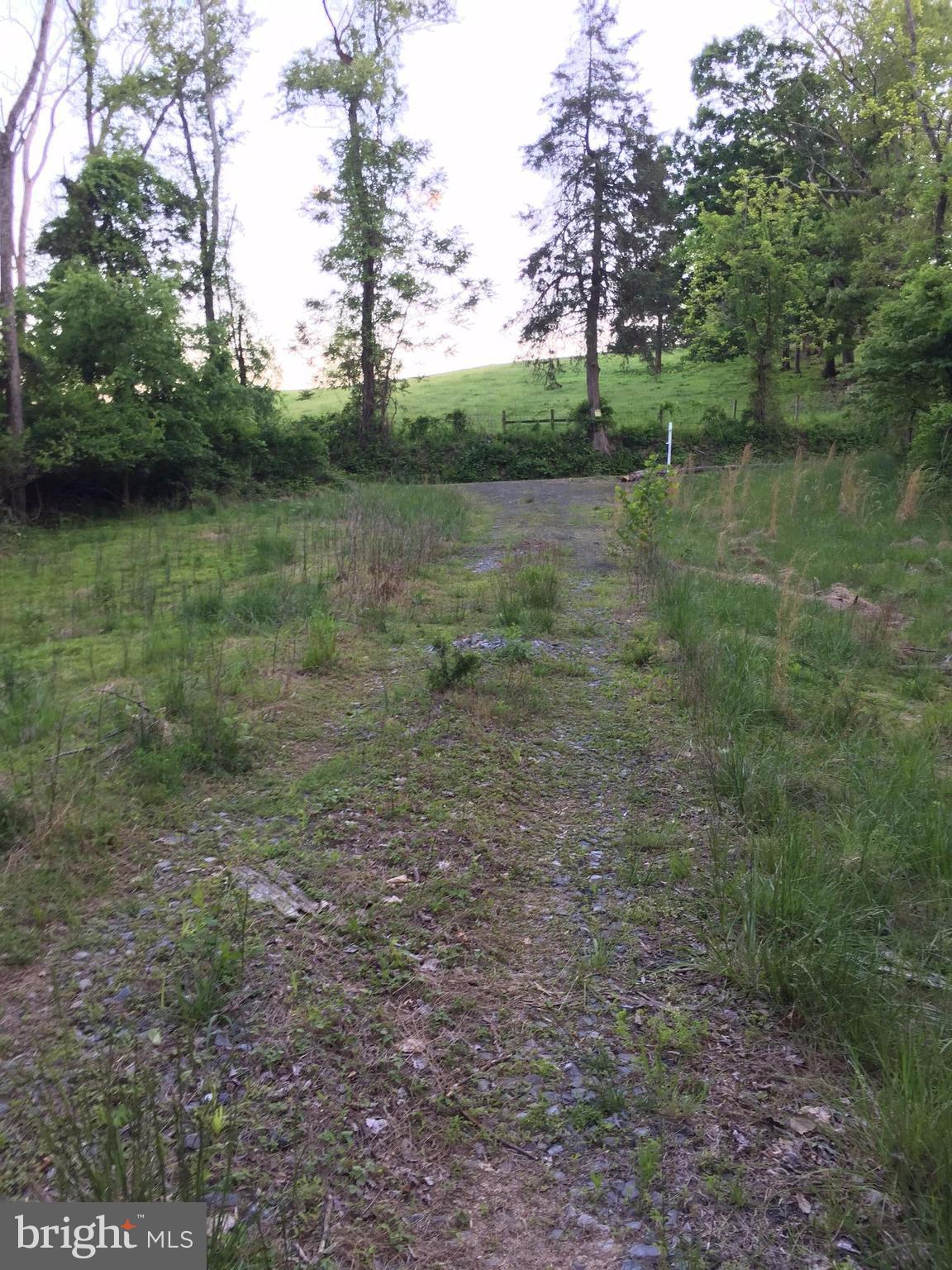 0 Old Bust Head Road Broad Run, VA 20137 - Photo 22 of 29 View