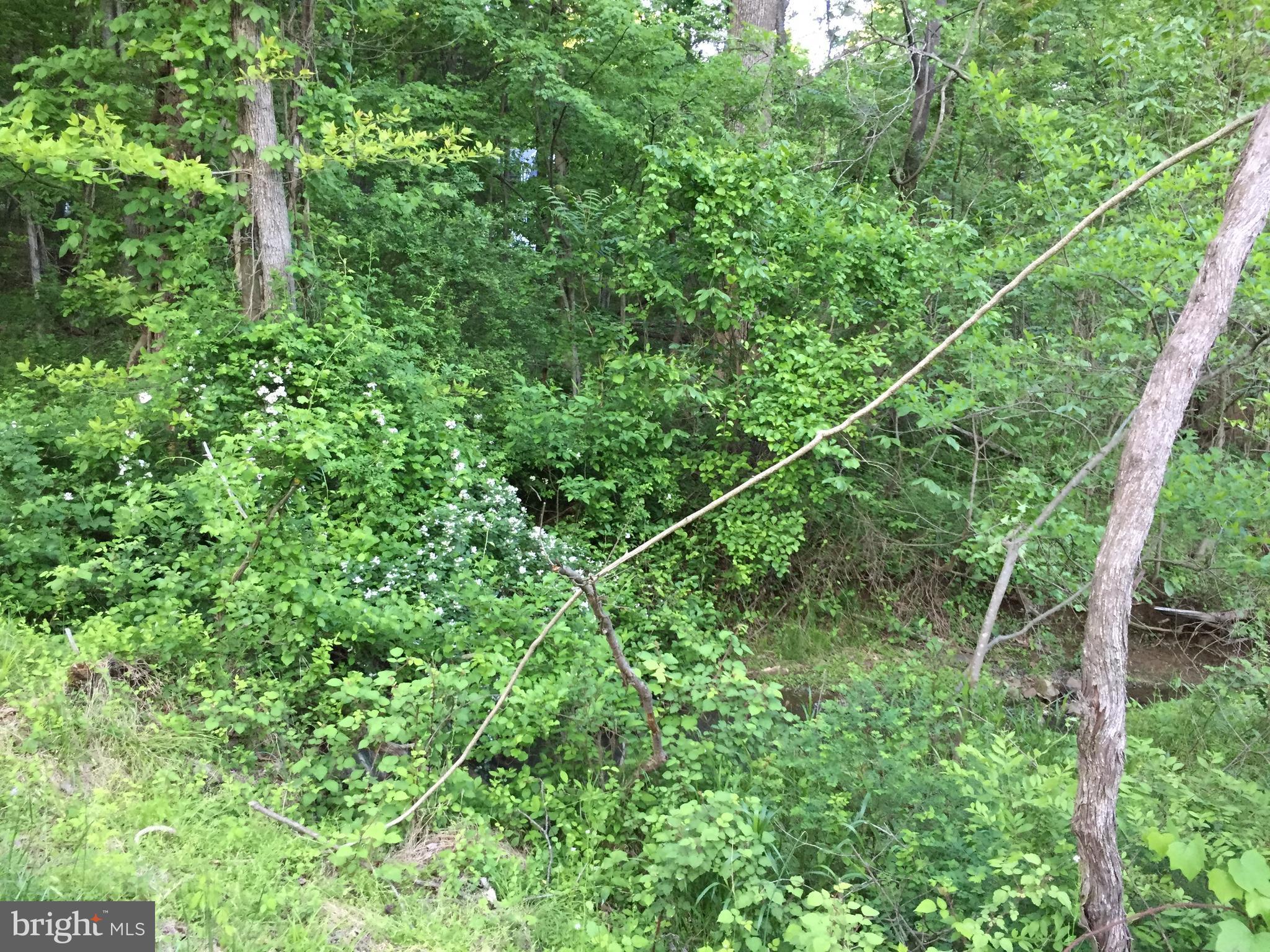 0 Old Bust Head Road Broad Run, VA 20137 - Photo 23 of 29 View