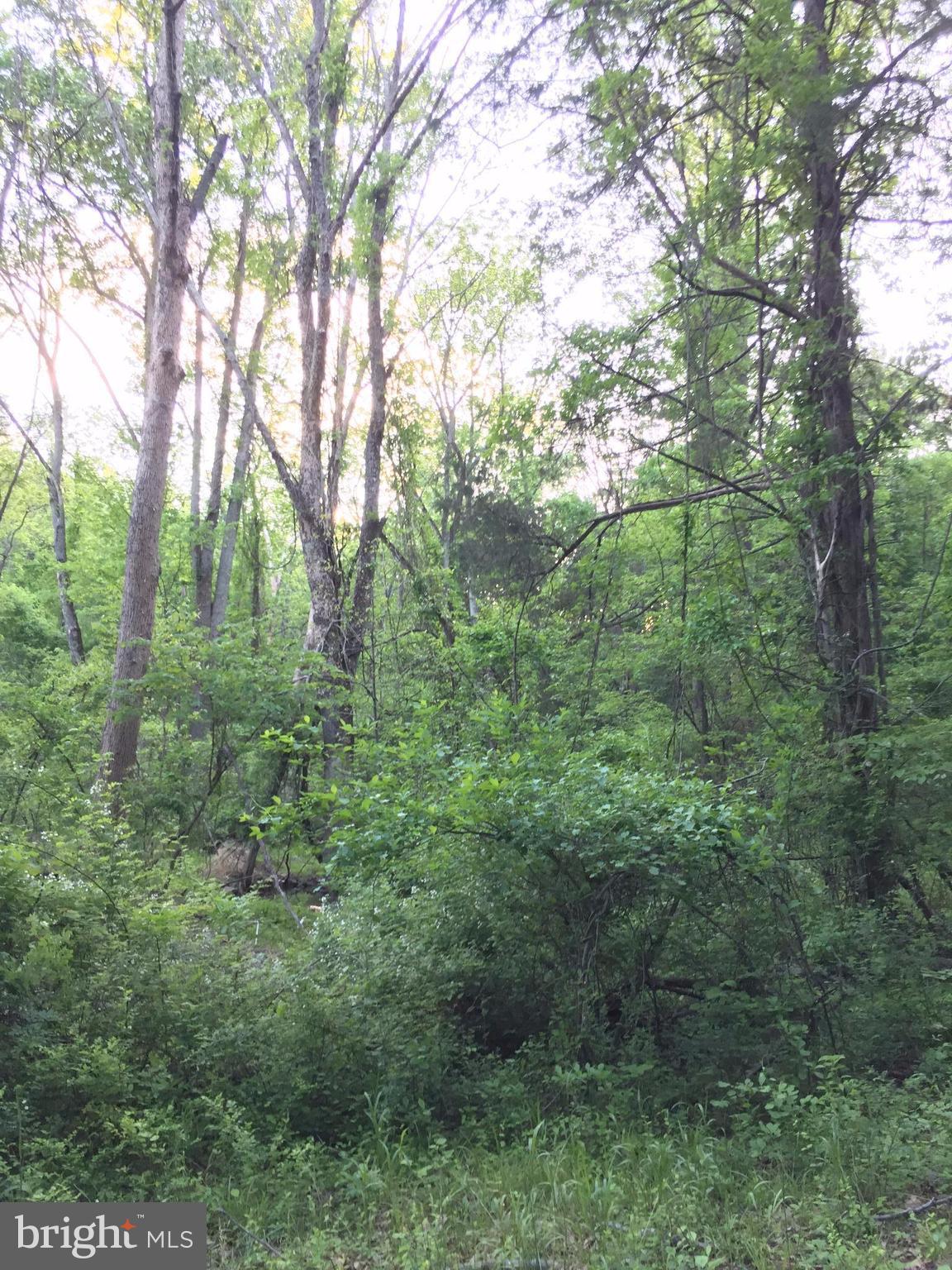 0 Old Bust Head Road Broad Run, VA 20137 - Photo 25 of 29 View