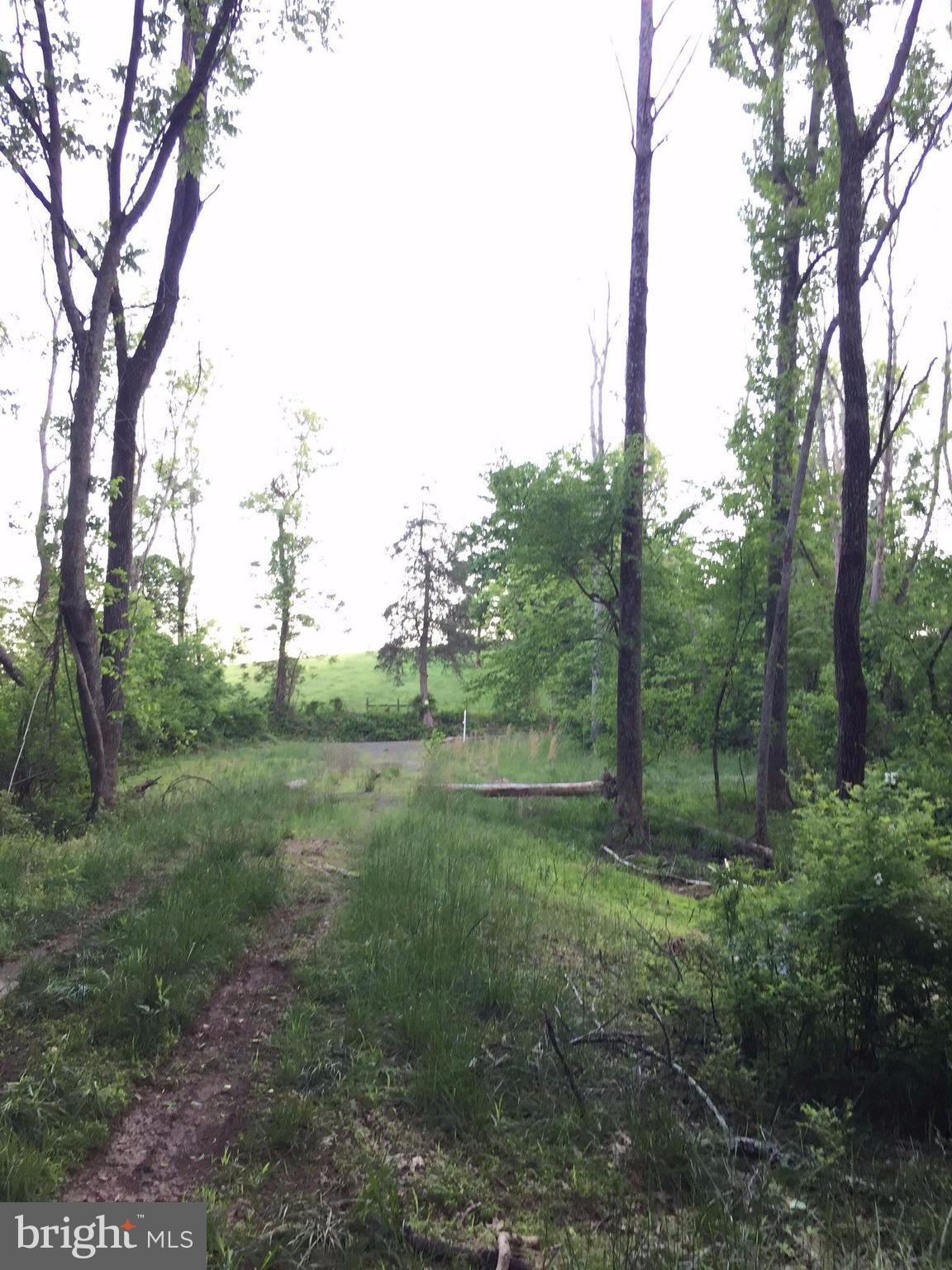 0 Old Bust Head Road Broad Run, VA 20137 - Photo 26 of 29 View