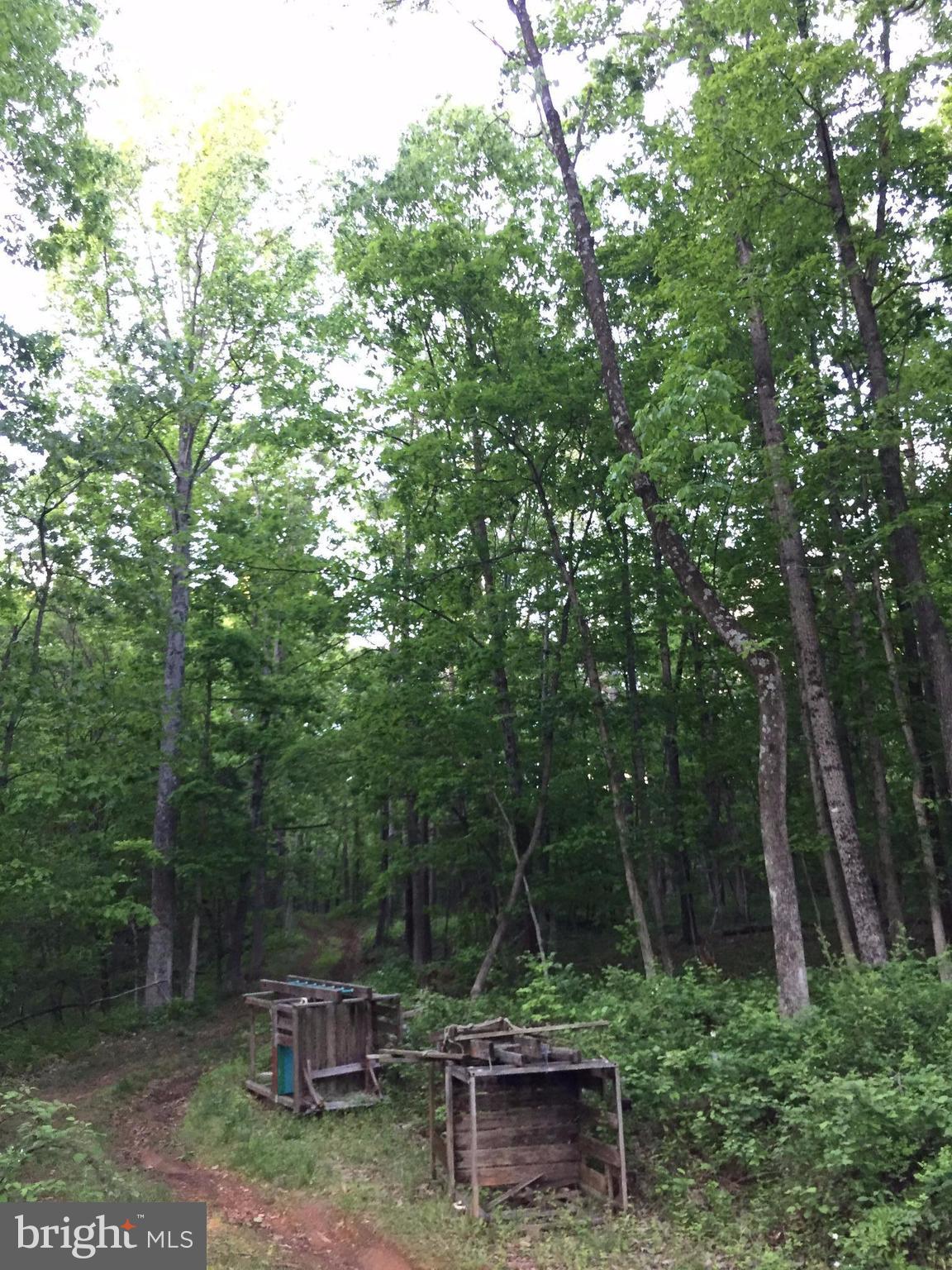 0 Old Bust Head Road Broad Run, VA 20137 - Photo 27 of 29 View
