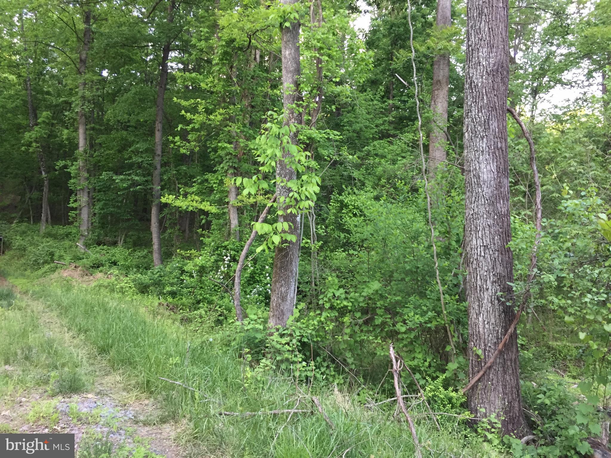 0 Old Bust Head Road Broad Run, VA 20137 - Photo 28 of 29 View