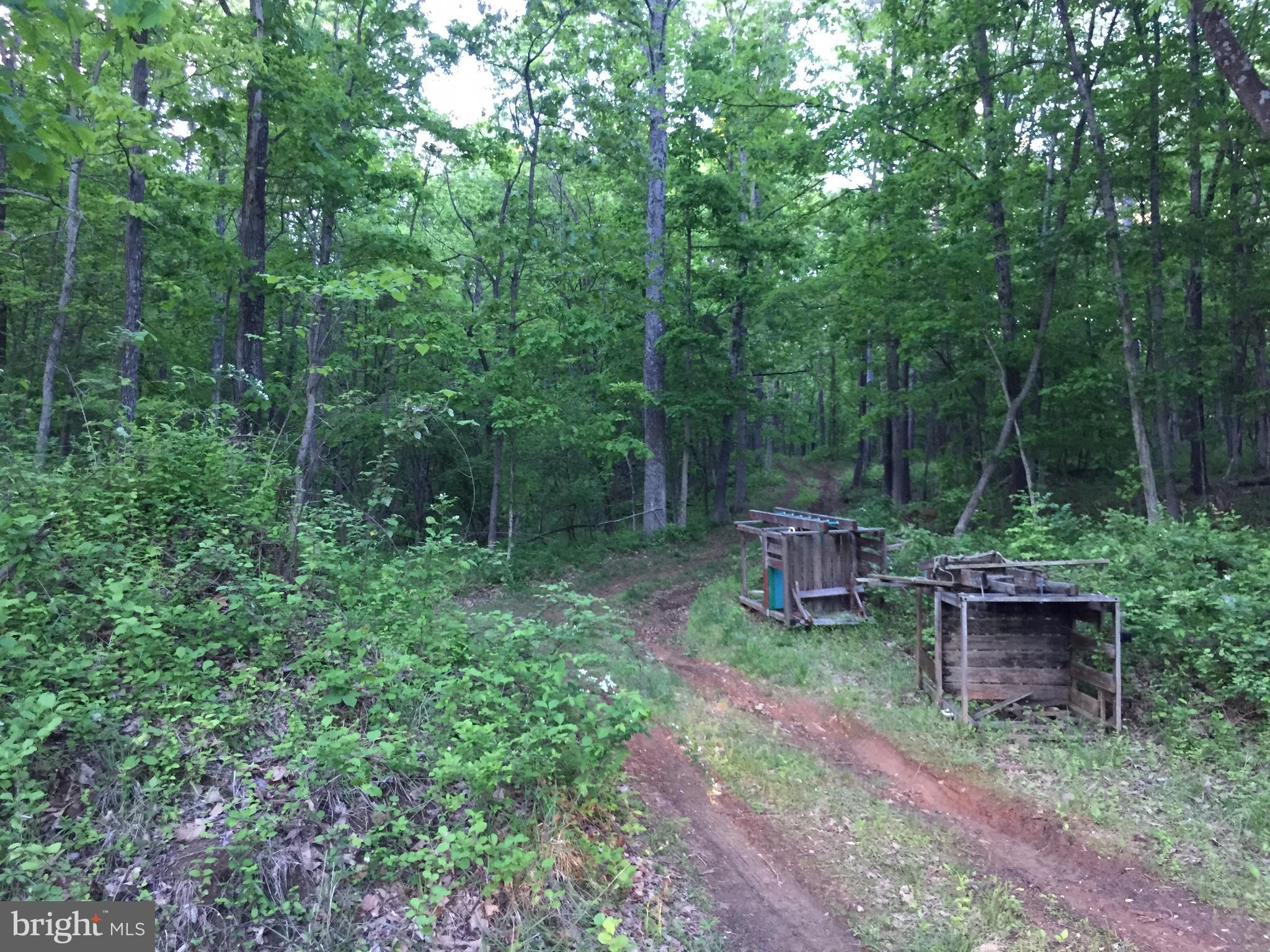 0 Old Bust Head Road Broad Run, VA 20137 - Photo 29 of 29 View