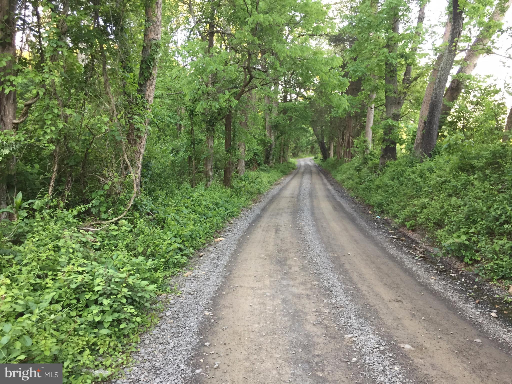 0 Old Bust Head Road Broad Run, VA 20137 - Photo 4 of 29 View