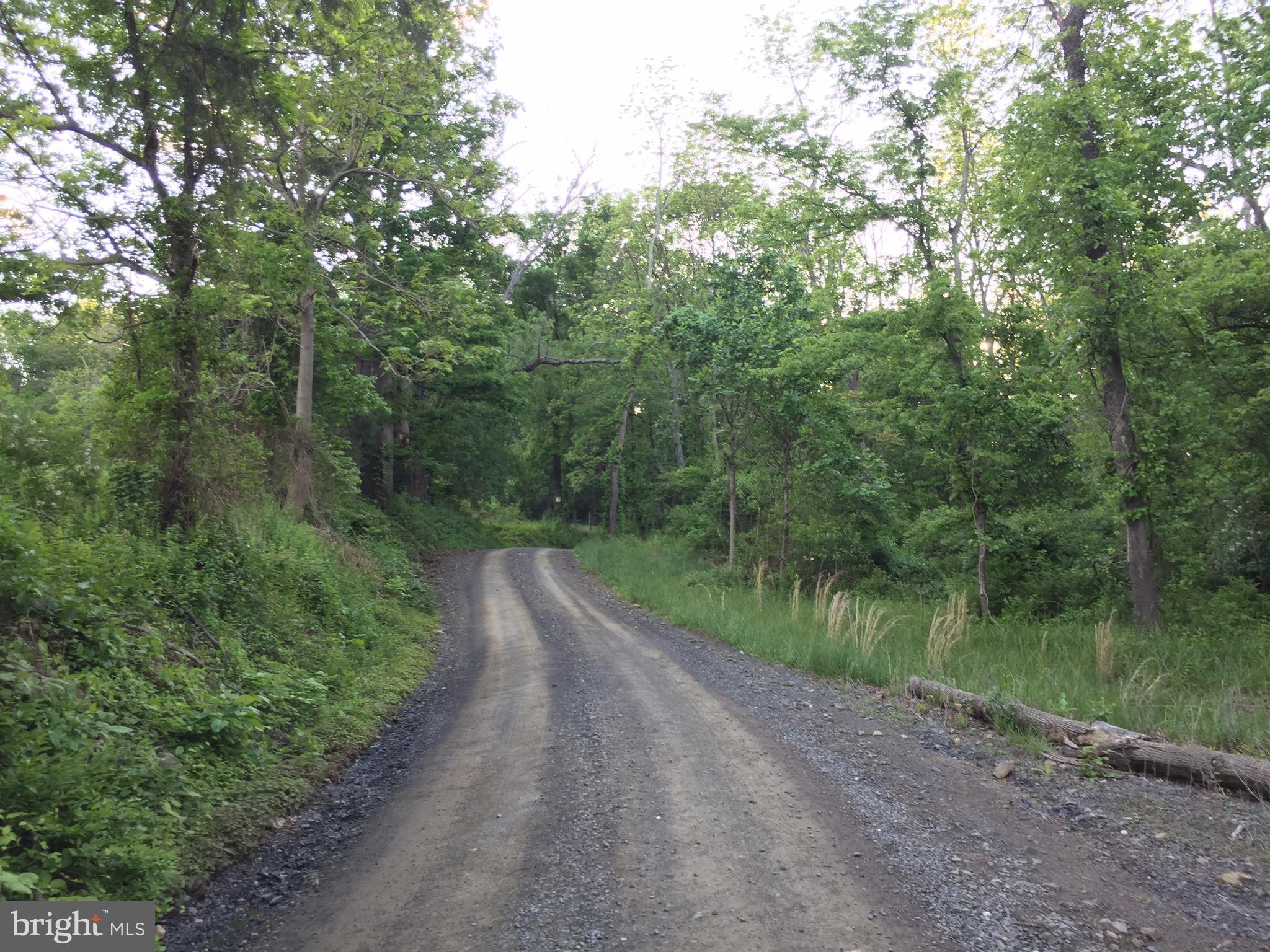 0 Old Bust Head Road Broad Run, VA 20137 - Photo 5 of 29 View