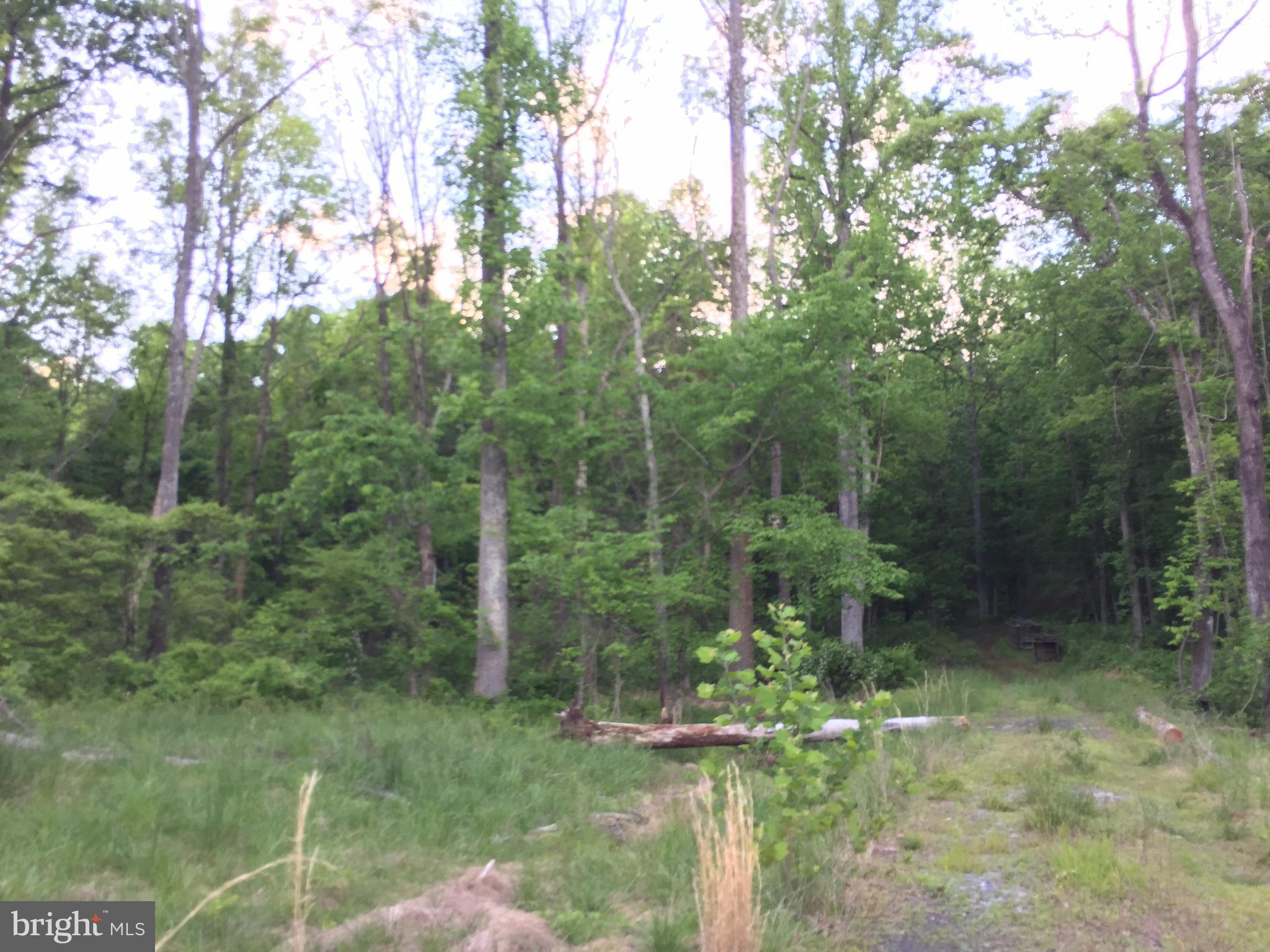 0 Old Bust Head Road Broad Run, VA 20137 - Photo 6 of 29 View