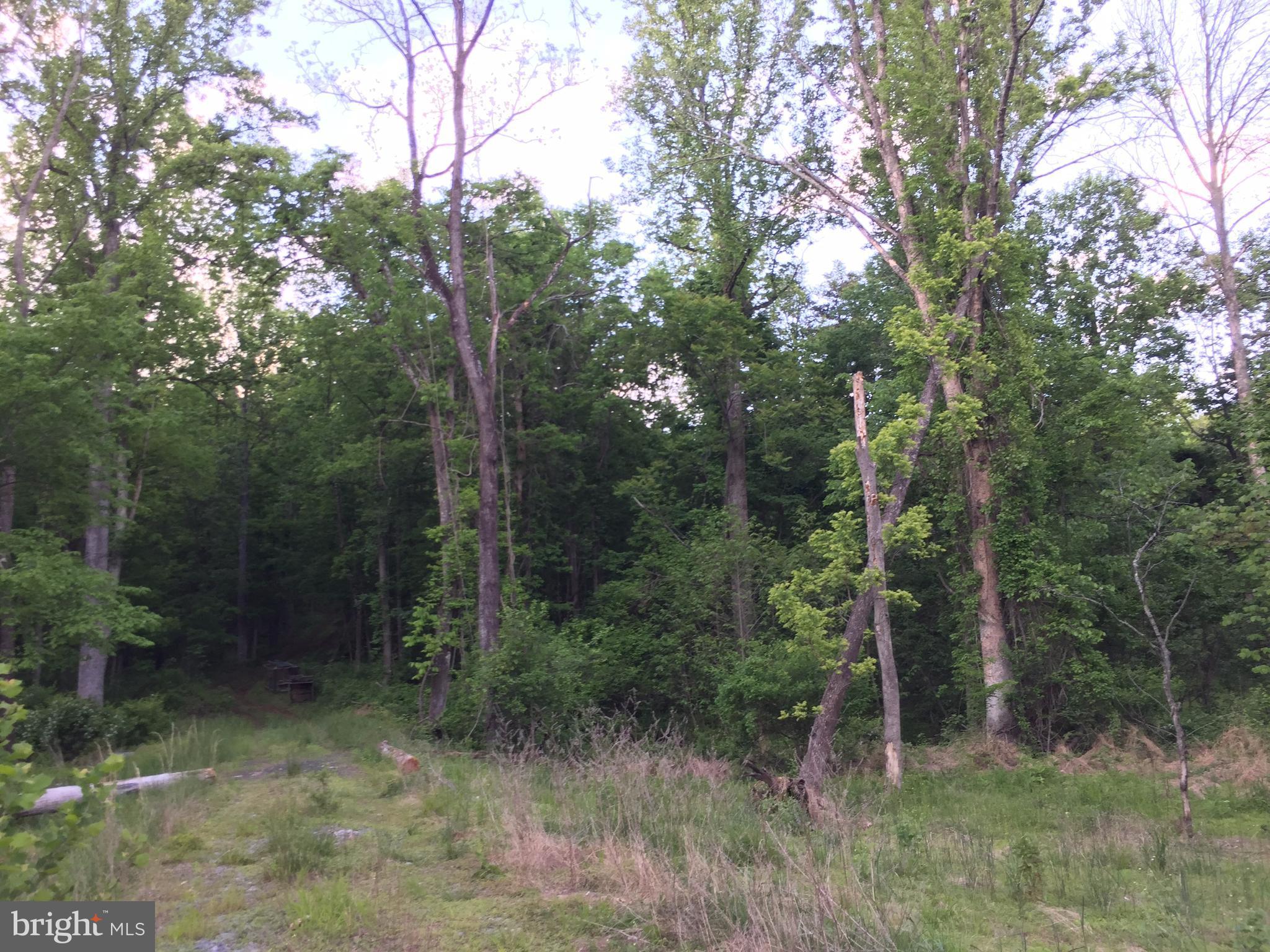 0 Old Bust Head Road Broad Run, VA 20137 - Photo 7 of 29 View