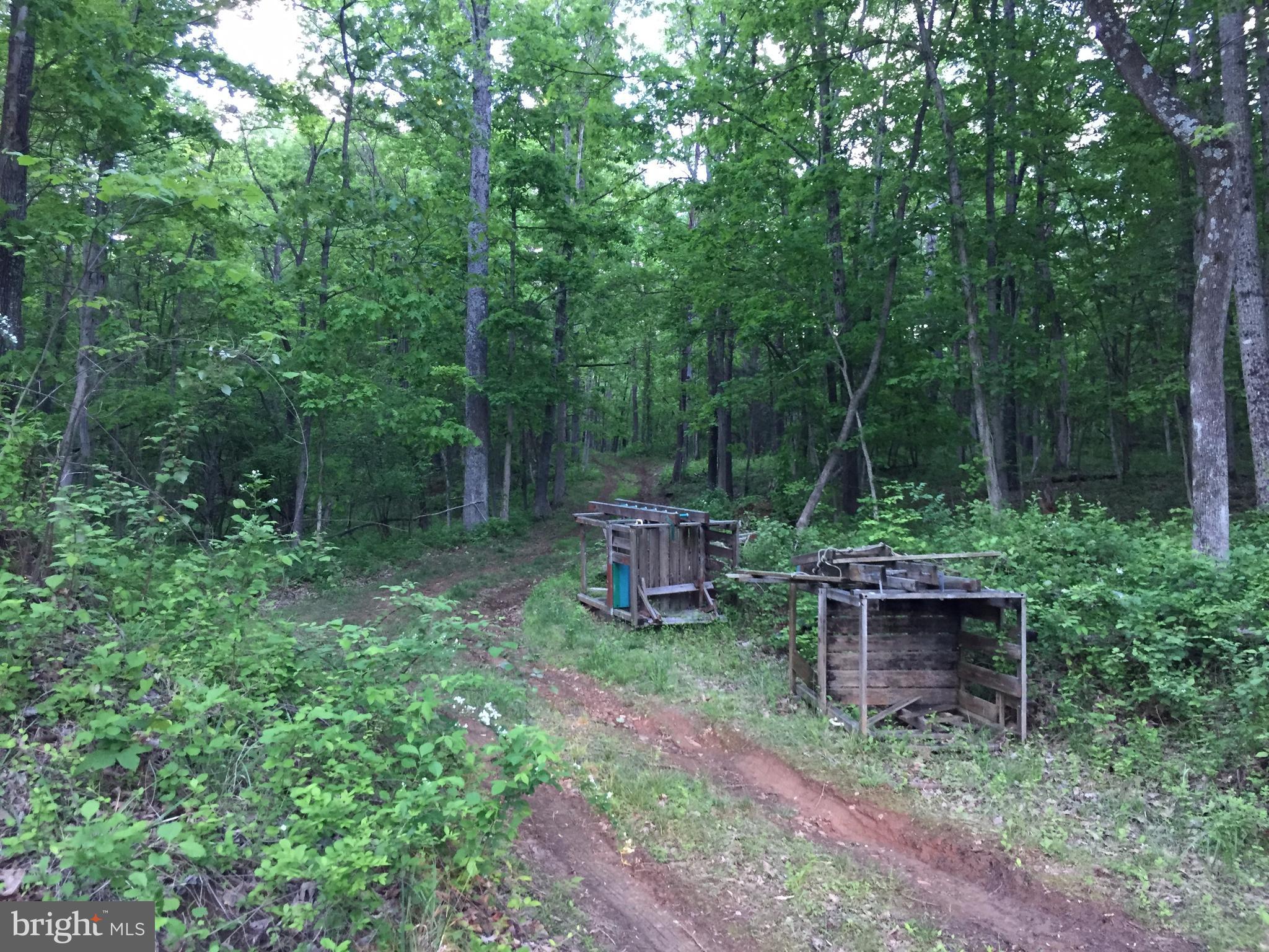 0 Old Bust Head Road Broad Run, VA 20137 - Photo 8 of 29 View