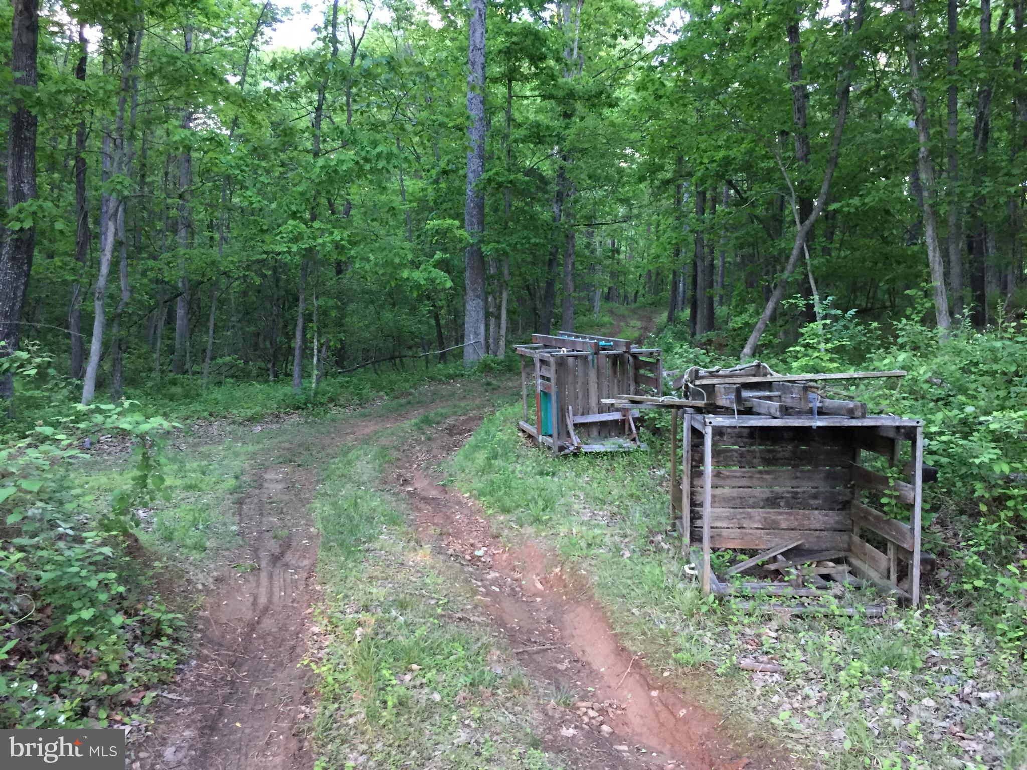 0 Old Bust Head Road Broad Run, VA 20137 - Photo 9 of 29 View