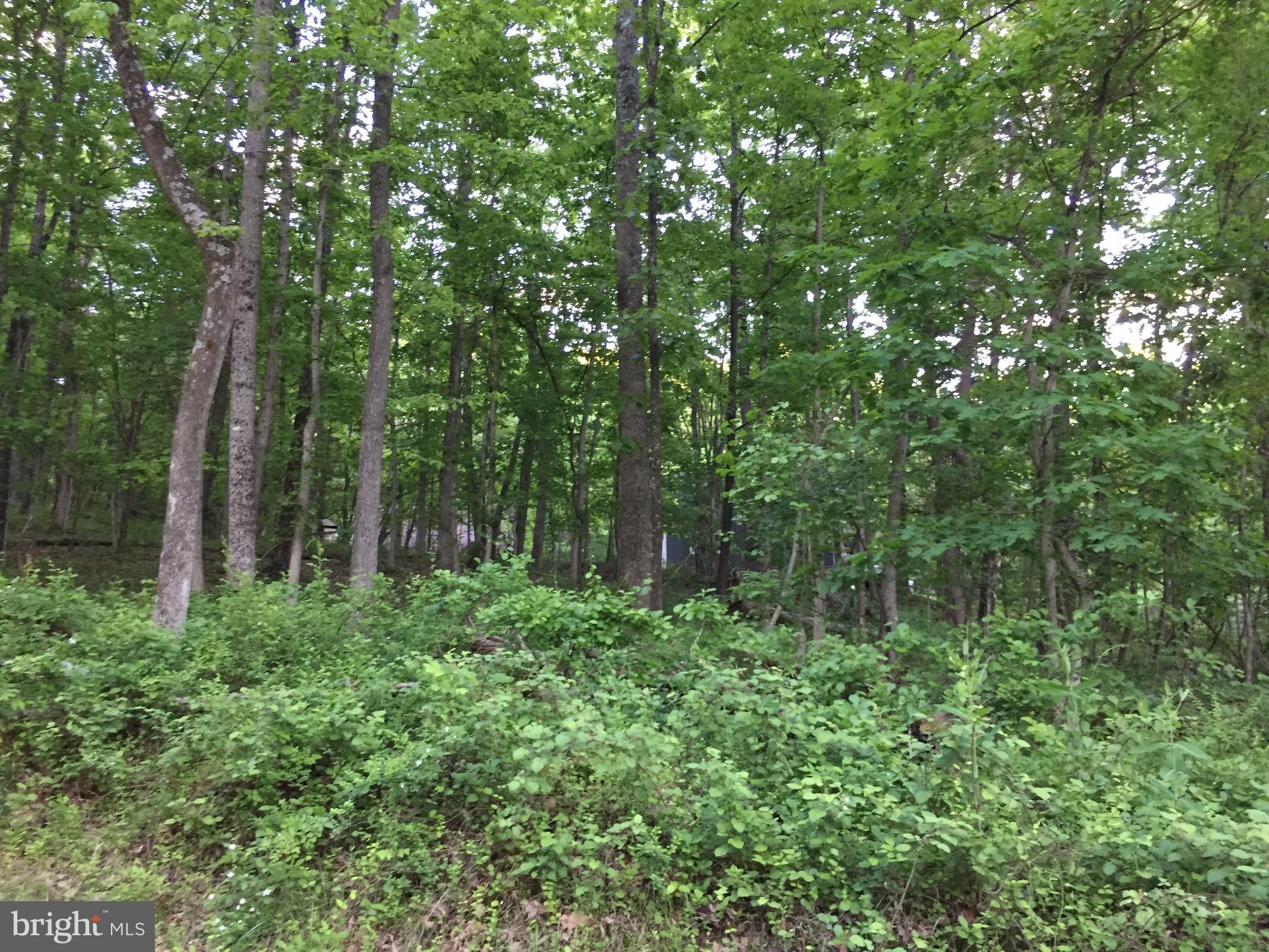 0 Old Bust Head Road Broad Run, VA 20137 - Photo 10 of 29 View