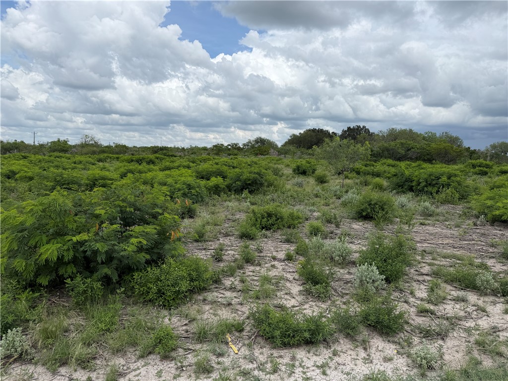 120 Quail Ridge Three Rivers, TX 78071 - Photo 3 of 5