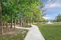 a view of park with tree
