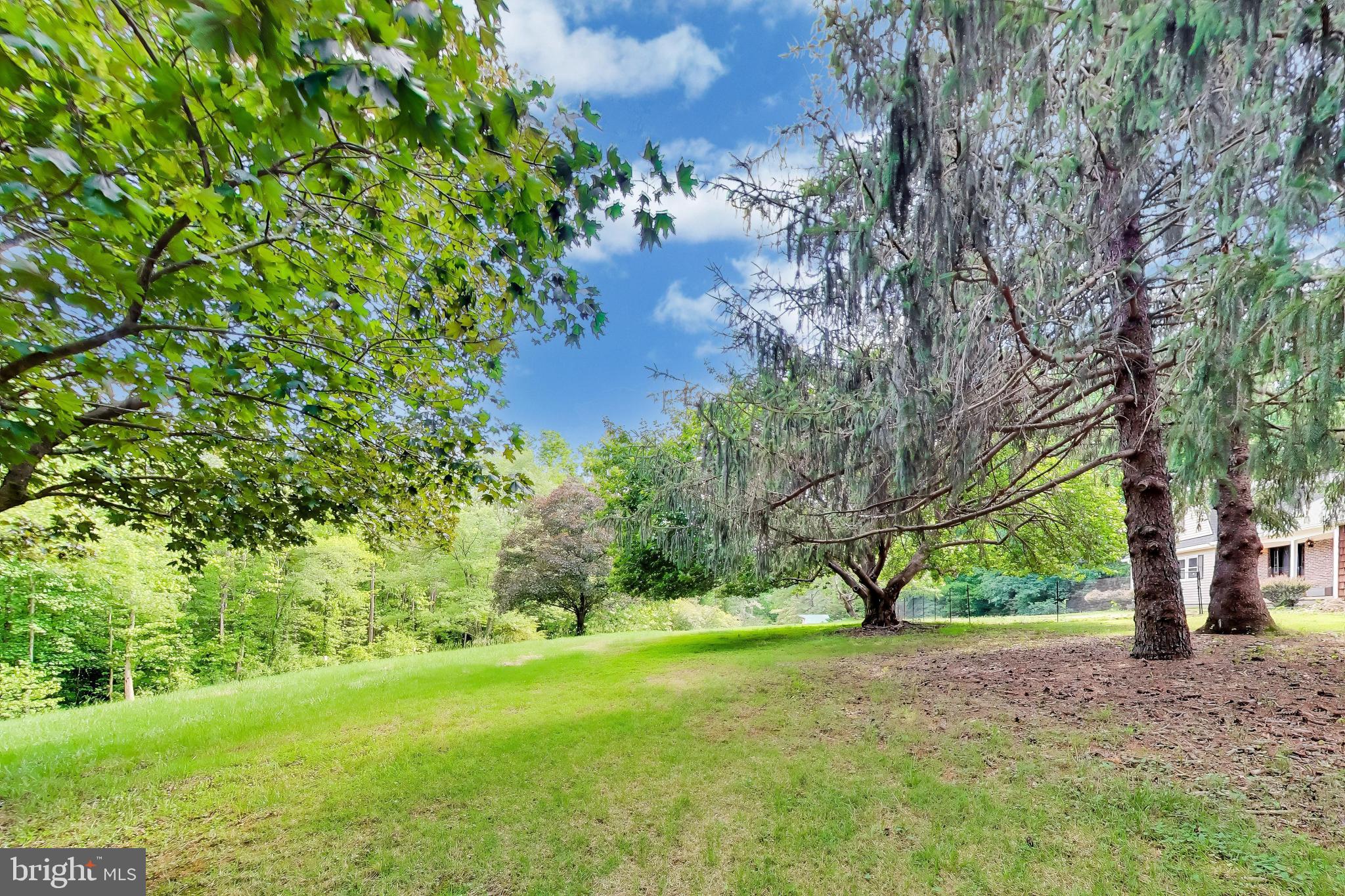 3240 Juniper Lane Huntingtown, MD 20639 - Photo 45 of 48 a view of a yard with a tree