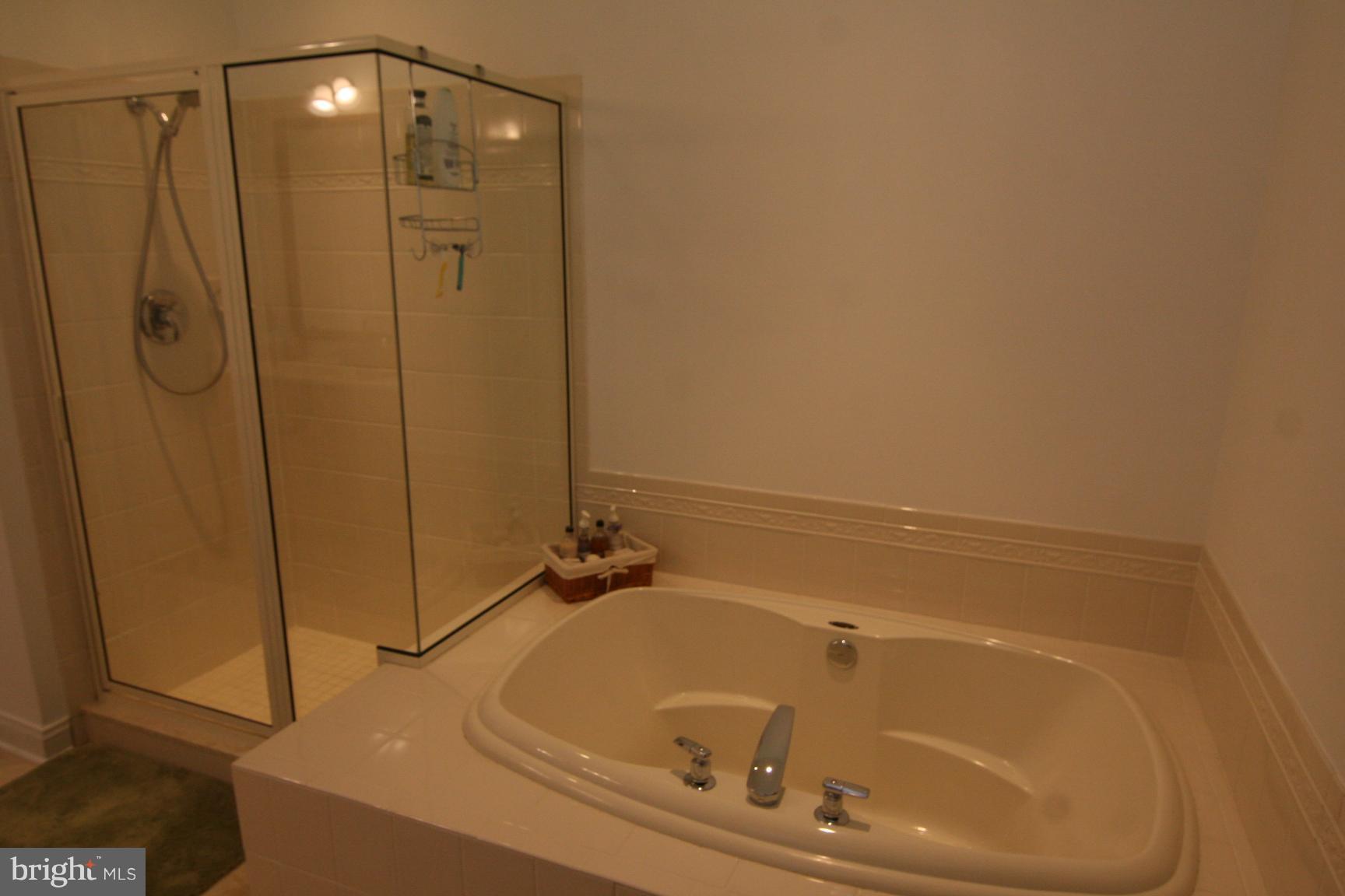 3535 Yellow Bank Road Dunkirk, MD 20754 - Photo 19 of 25 a bathroom with a tub and a shower