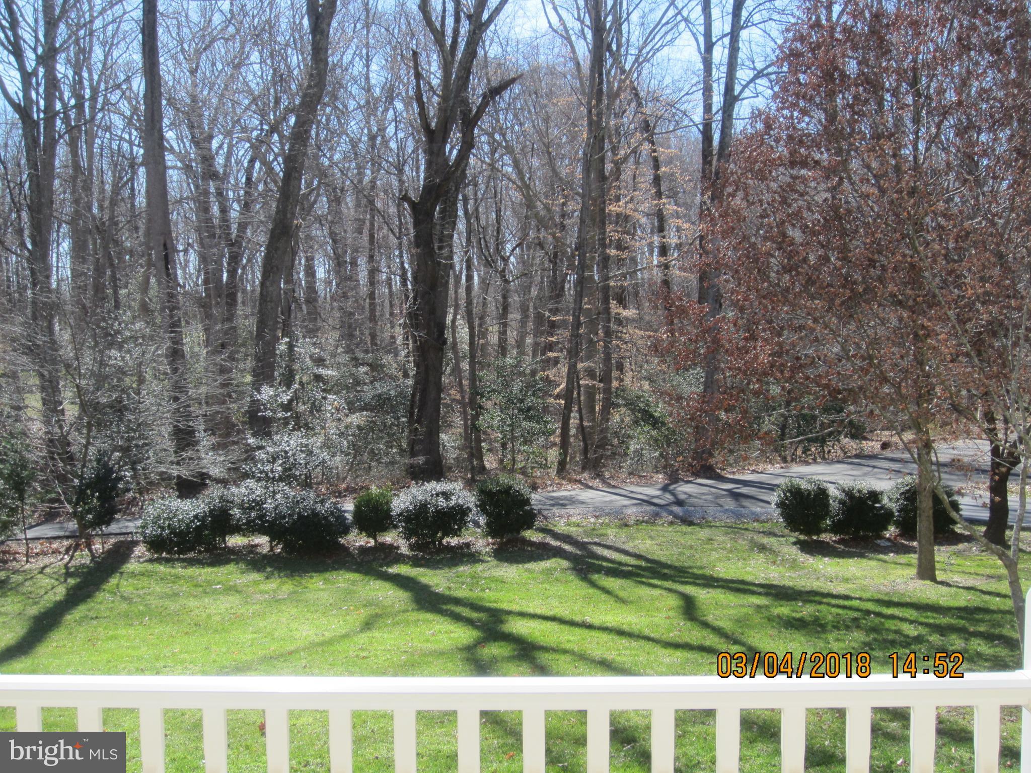 3535 Yellow Bank Road Dunkirk, MD 20754 - Photo 4 of 25 a view of a park with large trees