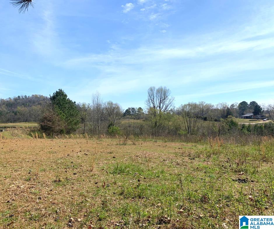 352 Daniel Road, Unit 97 17 ACRES Ohatchee, AL 36271 - Photo 4 of 17
