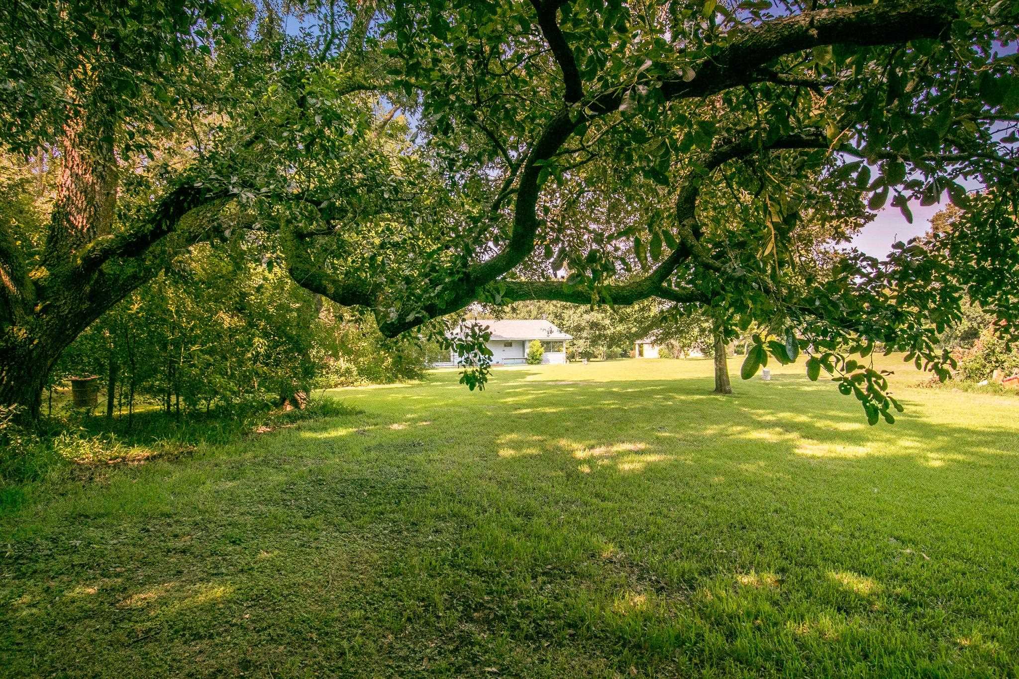 10700 Conway Lane Daphne, AL 36526 - Photo 44 of 50