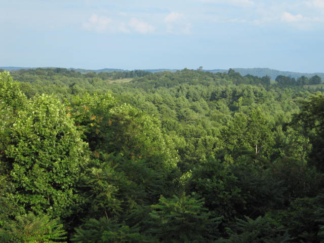 1140 Huckleberry Ridge Road Northeast Floyd, VA 24091 - Photo 3 of 10 an aerial view of residential houses with outdoor space and trees