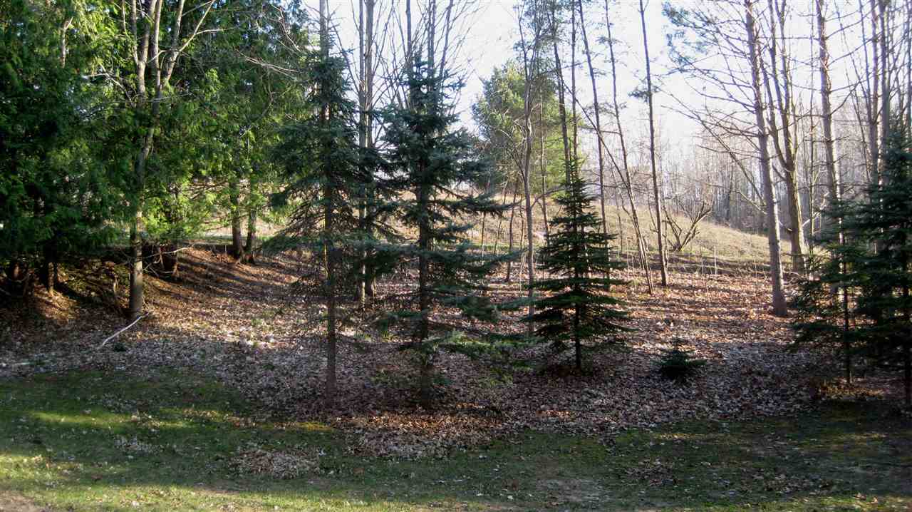 10191 South Bow Road Maple City, MI 49664 - Photo 24 of 46 1798616-25.JPG