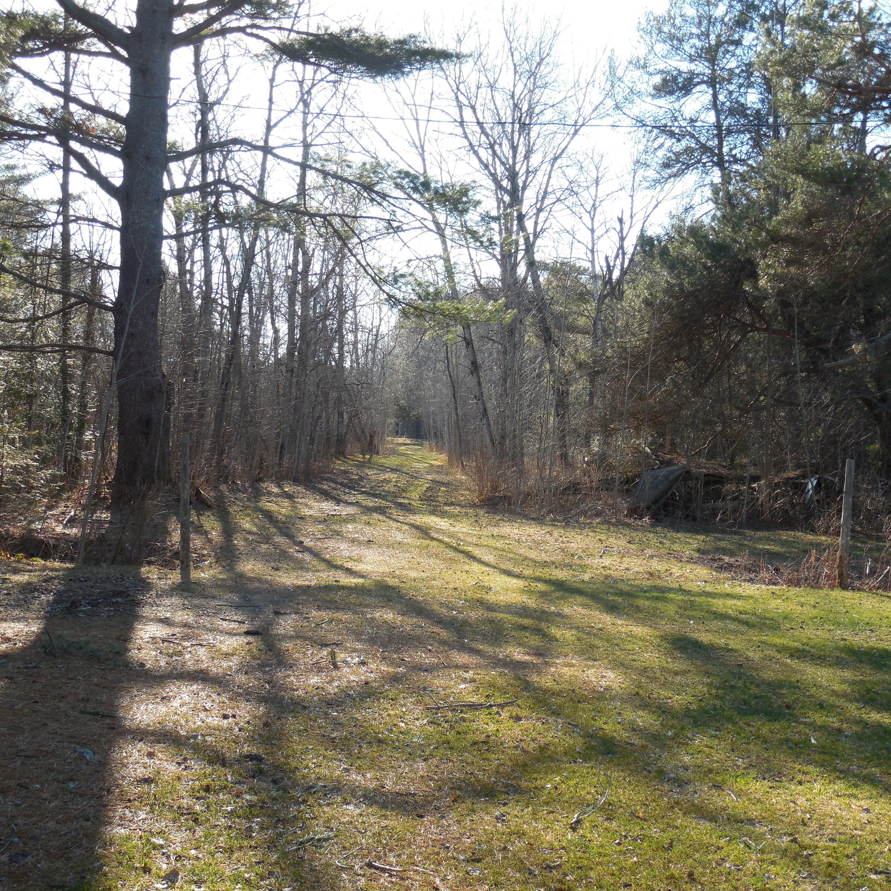 13321 South Cottage Road Barbeau, MI 49710 - Photo 12 of 13 Gallery Image 12