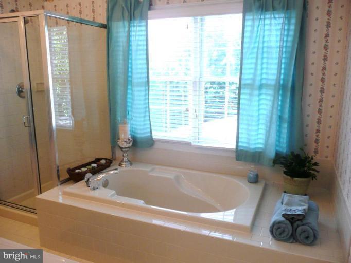 3205 Breckenridge Way Riva, MD 21140 - Photo 18 of 30 a bath tub sitting in a bathroom next to a window