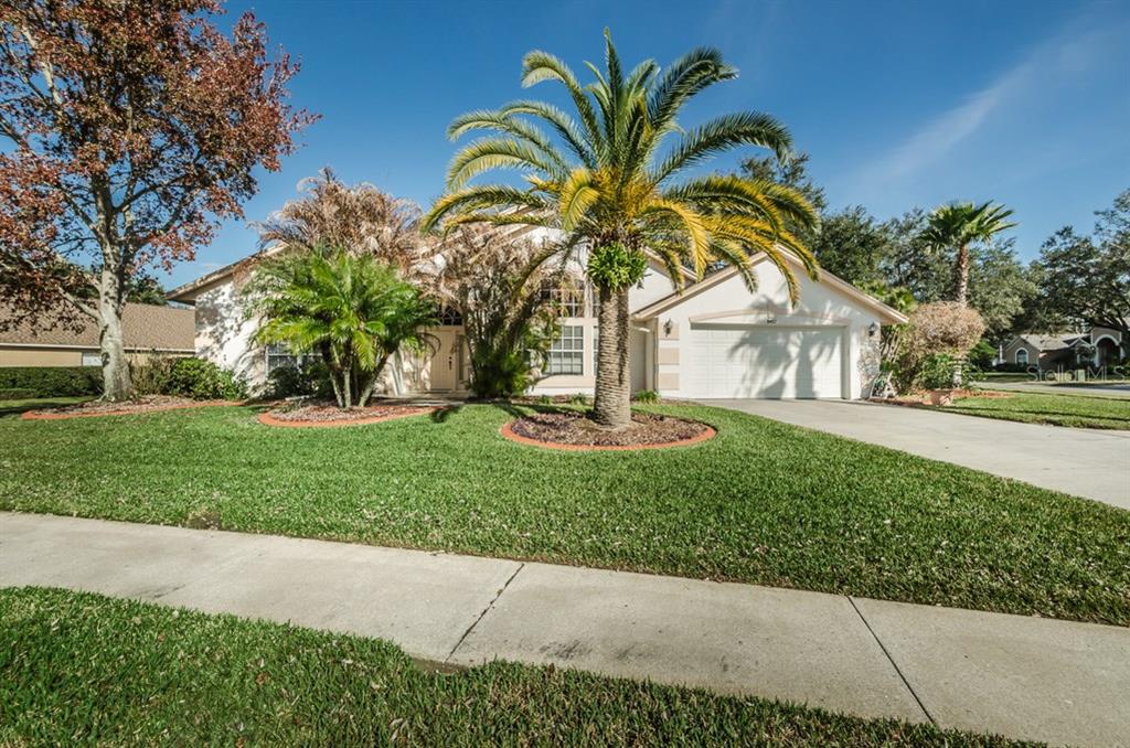 8452 Ridgebrook Circle Odessa, FL 33556 - Photo 1 of 1 Front Exterior