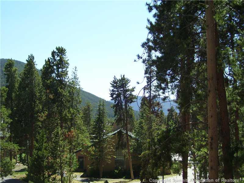 180 Tennis Club Road, Unit 1657 Keystone, CO 80435 - Photo 16 of 18 Gallery Image 16