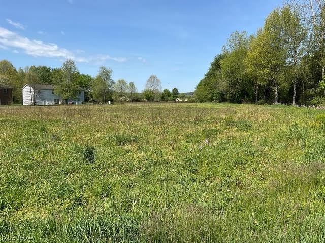 Hess Mill Road Bolivar, OH 44612 - Photo 8 of 19
