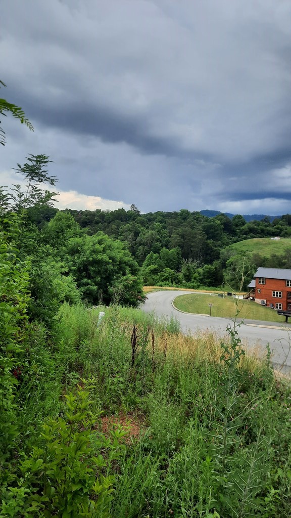 0 Rainbow Ridge Way Sevierville, TN 37862 - Photo 8 of 10