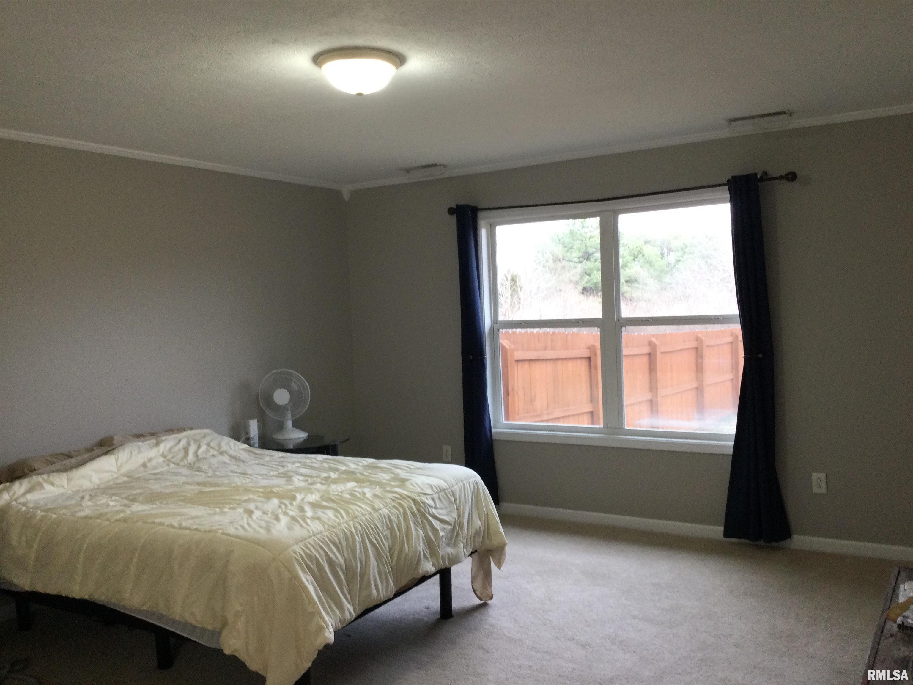 854 Power Plant Road Marion, IL 62959 - Photo 18 of 39