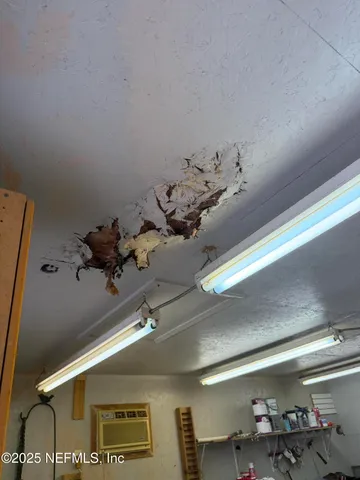 a view of backyard with large trees and plants