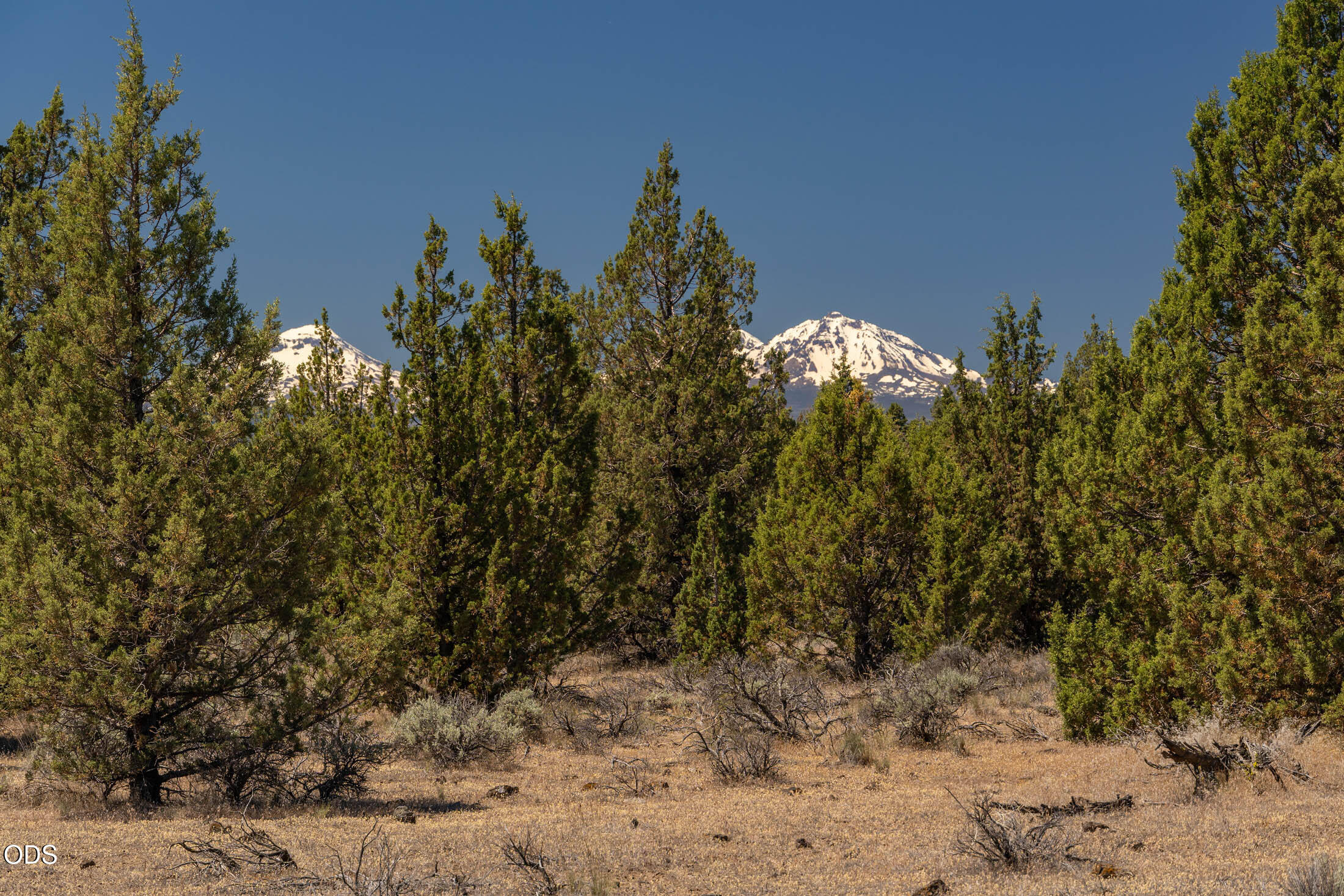 0 Southwest Blue Jay Road Terrebonne, OR 97760 - Photo 2 of 14