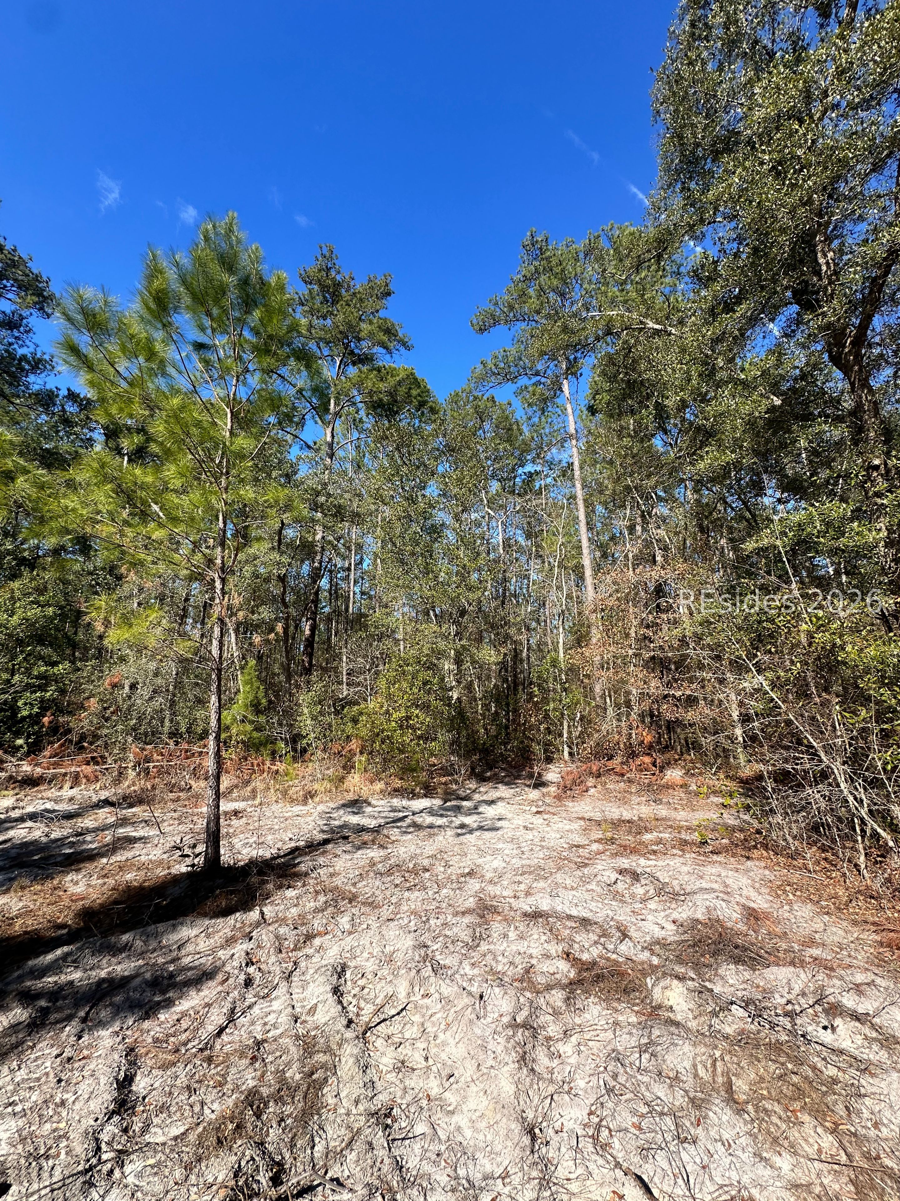 0 Spring Field Plantation Drive Ridgeland, SC 29936 - Photo 2 of 15