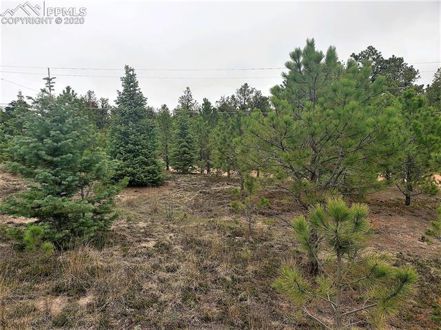 7165 McShane Road Colorado Springs, CO 80908 - Photo 8 of 13 Gallery Image 8
