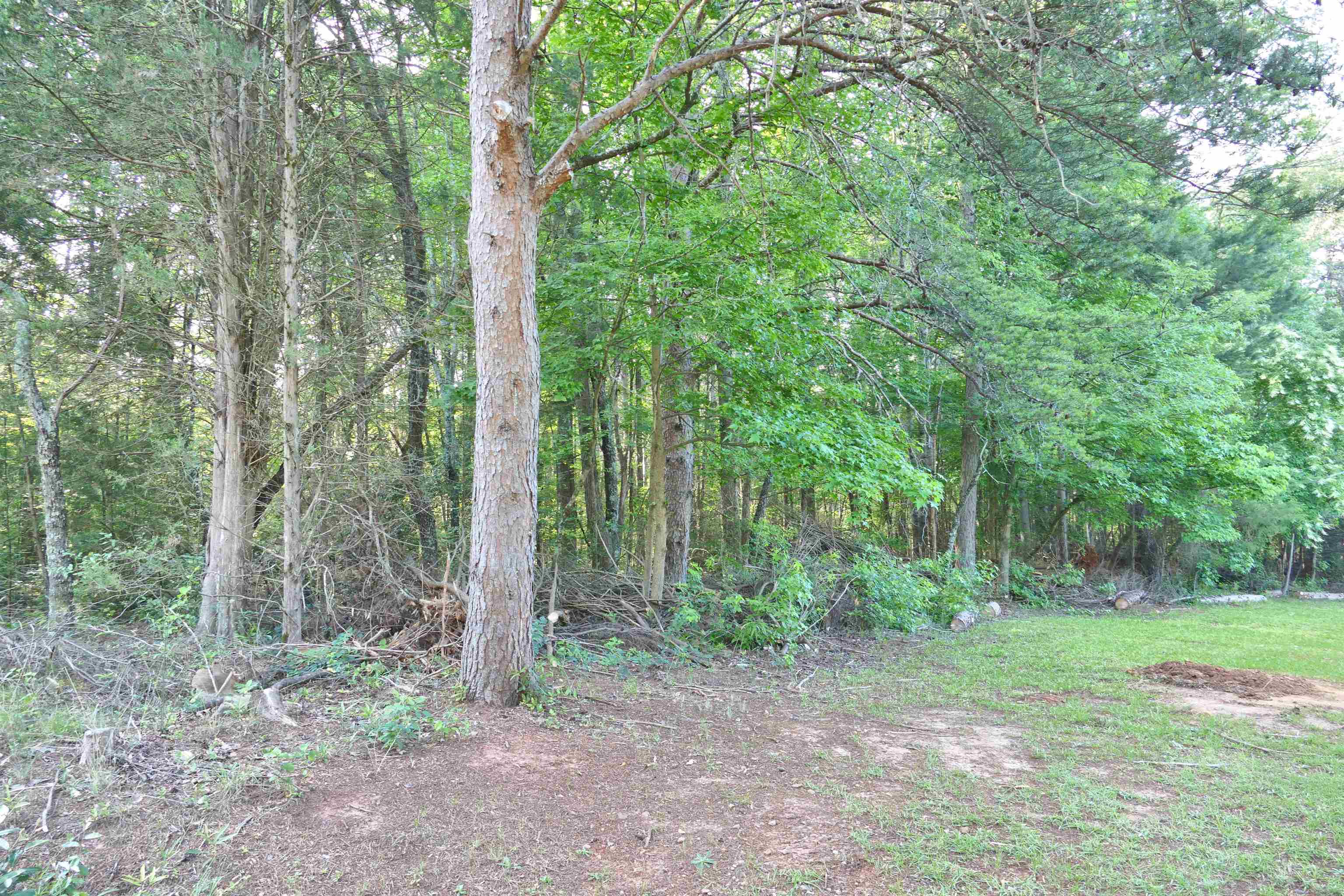 240 Coyl Road Gaffney, SC 29340 - Photo 3 of 13