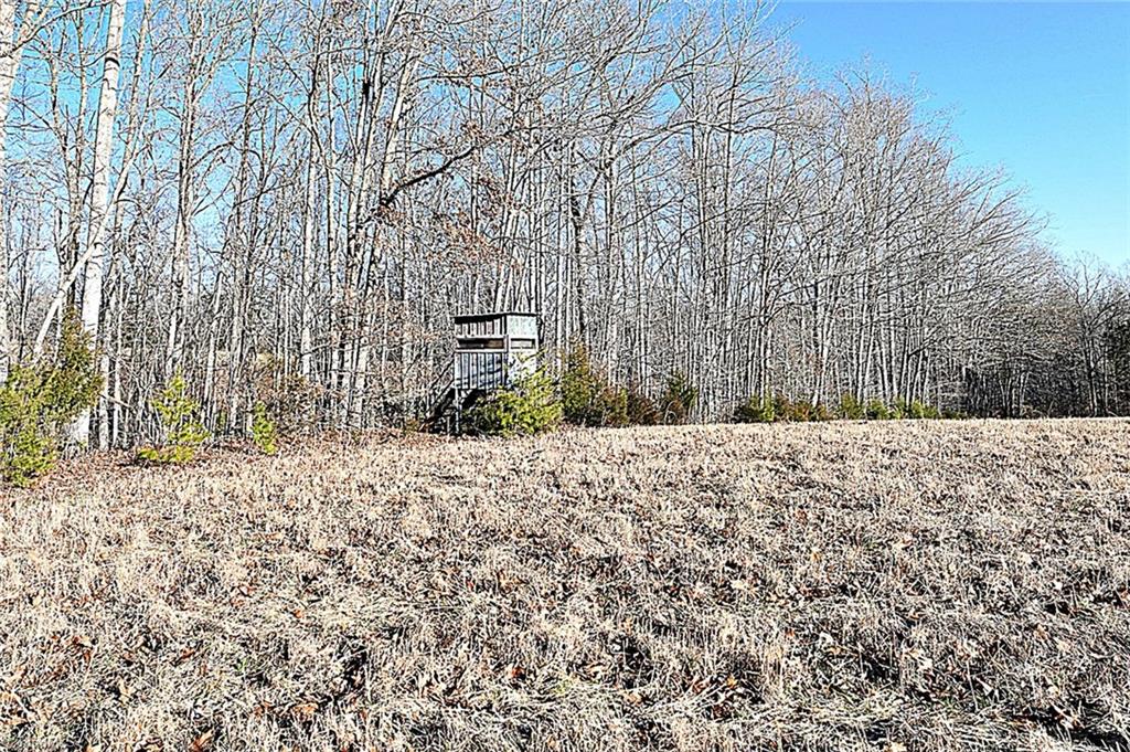 5148 Baker Road East Bend, NC 27018 - Photo 6 of 16 Gallery Image 6