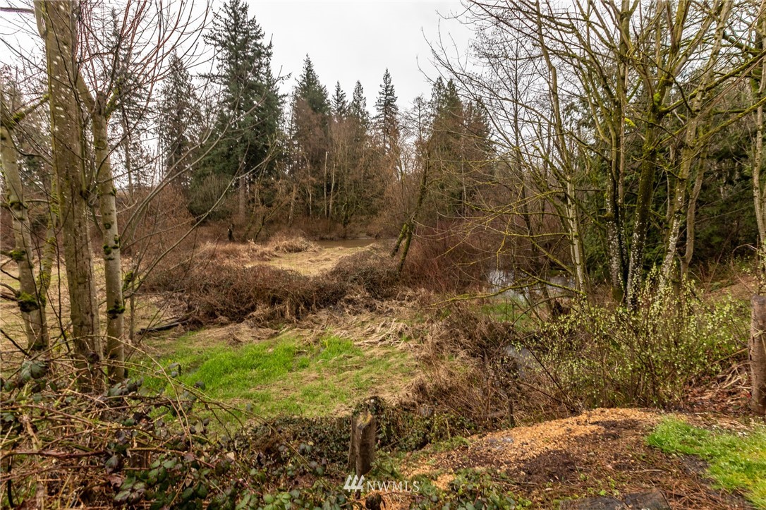 843 Loomis Trail Road Lynden, WA 98264 - Photo 29 of 33 a view of a yard with large trees