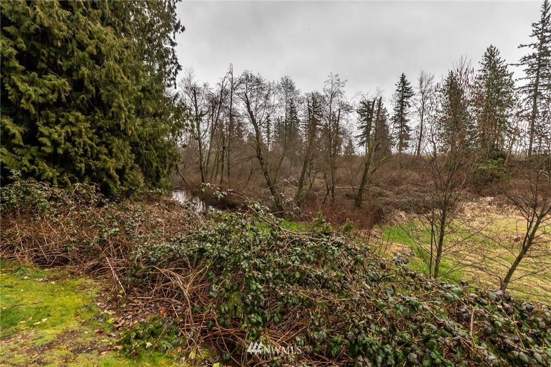 843 Loomis Trail Road Lynden, WA 98264 - Photo 30 of 33 a view of outdoor space and trees