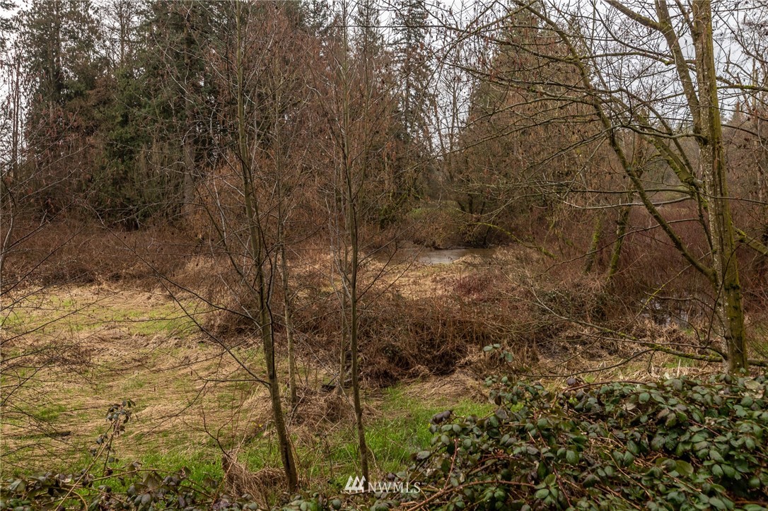 843 Loomis Trail Road Lynden, WA 98264 - Photo 31 of 33 a view of a yard