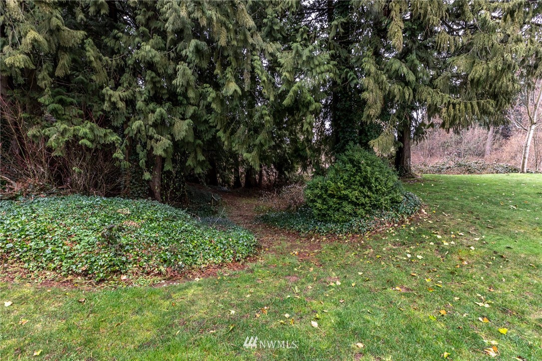 843 Loomis Trail Road Lynden, WA 98264 - Photo 33 of 33 a view of backyard with green space