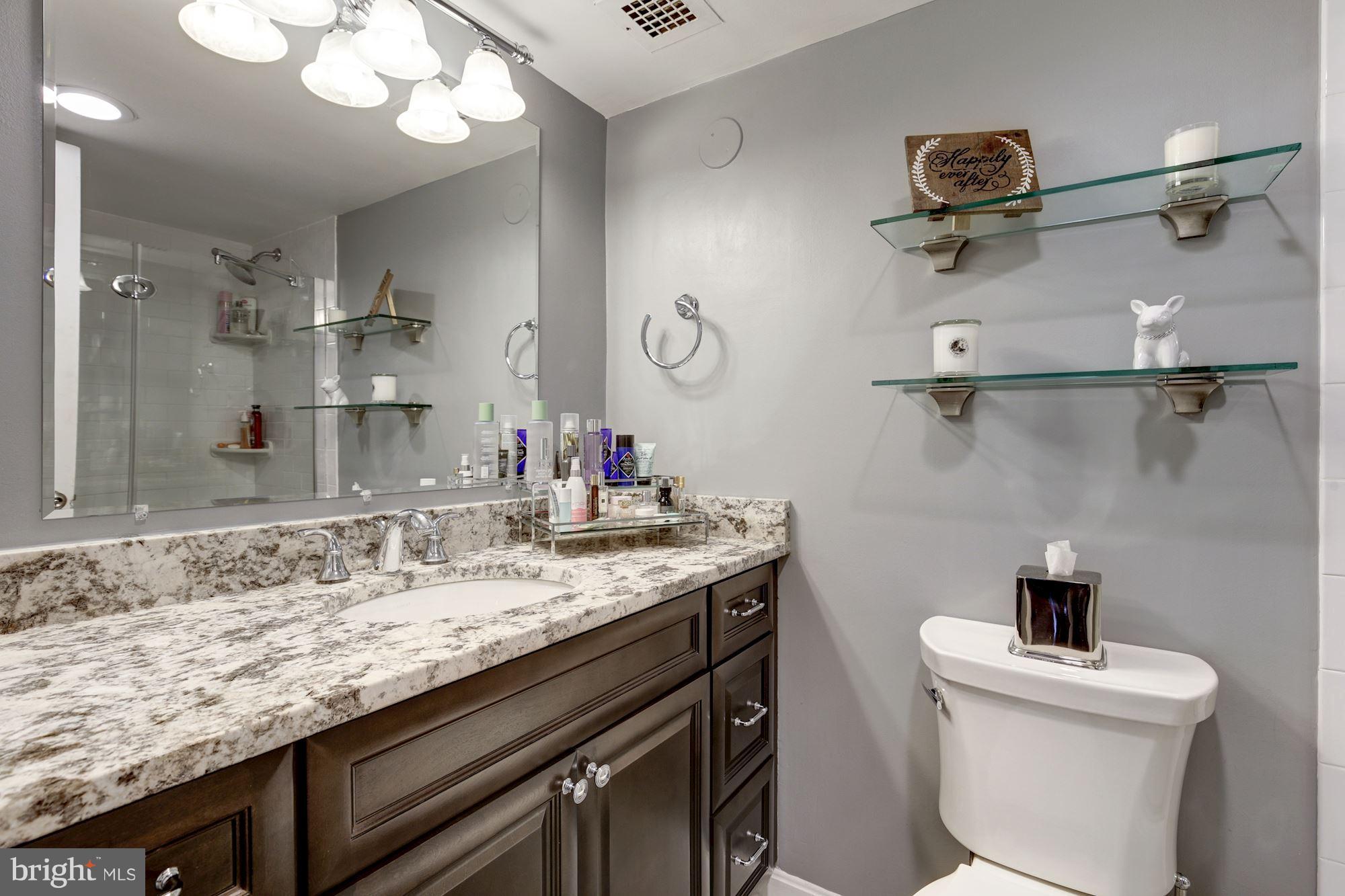 560 N Street Southwest, Unit N409 Washington, DC 20024 - Photo 10 of 21 Gorgeous Renovated Bath with granite