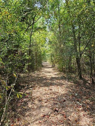 0 Donnie Price Road Deville, LA 71328 - Photo 2 of 8